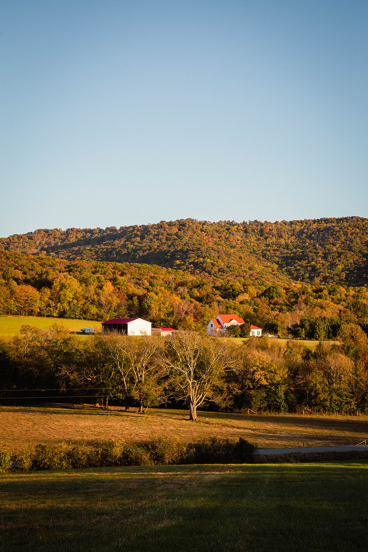 Keith Springs Mountain property picture 28 of 59