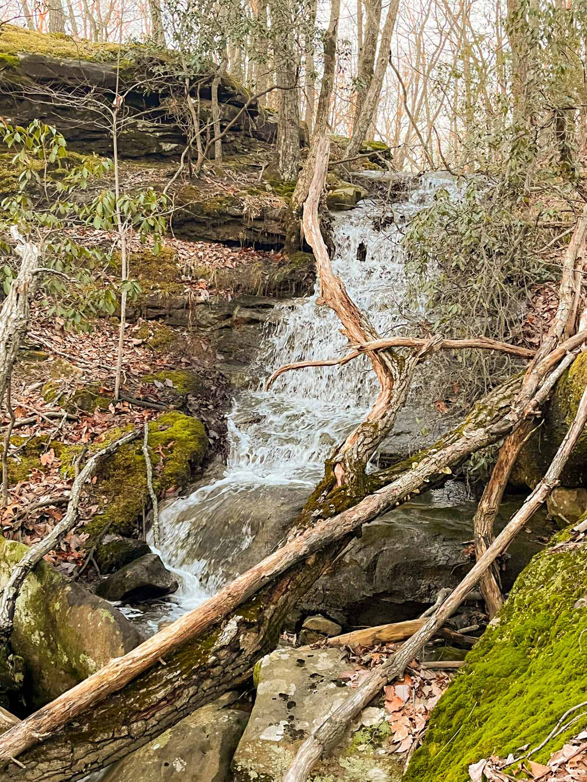 Keith Springs Mountain property picture 47 of 59