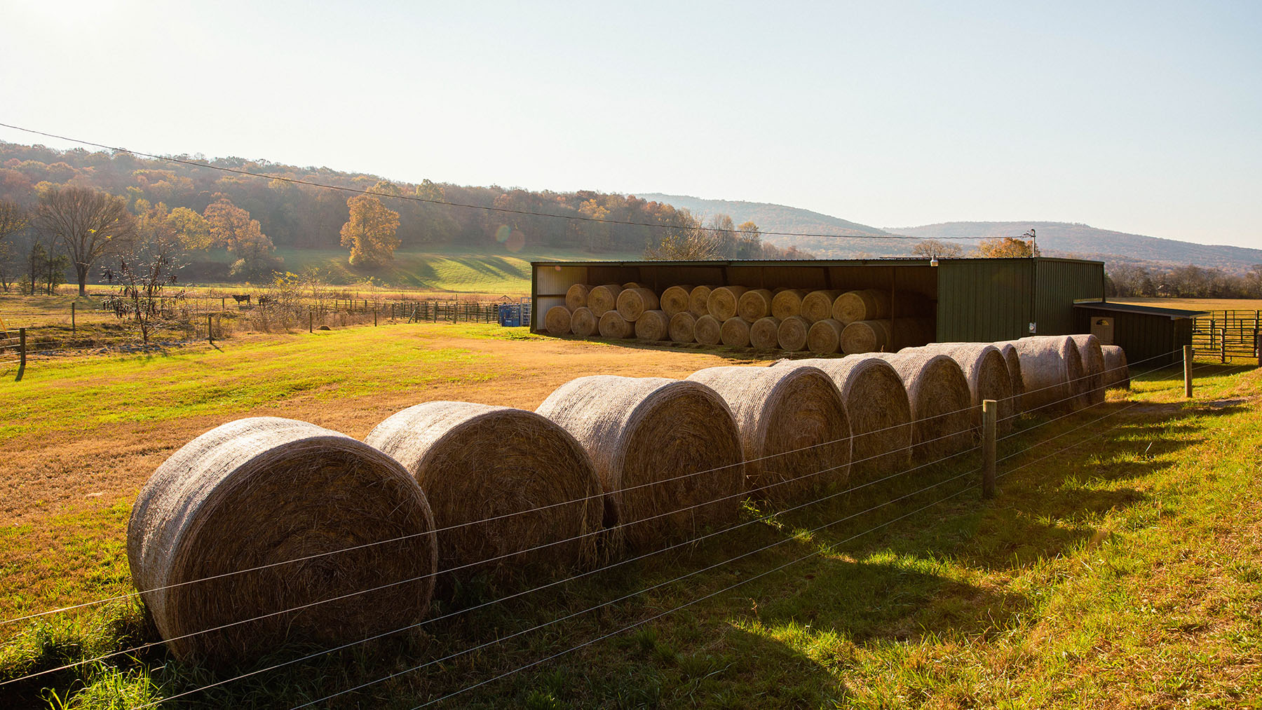 Keith Springs Mountain property picture 36 of 59
