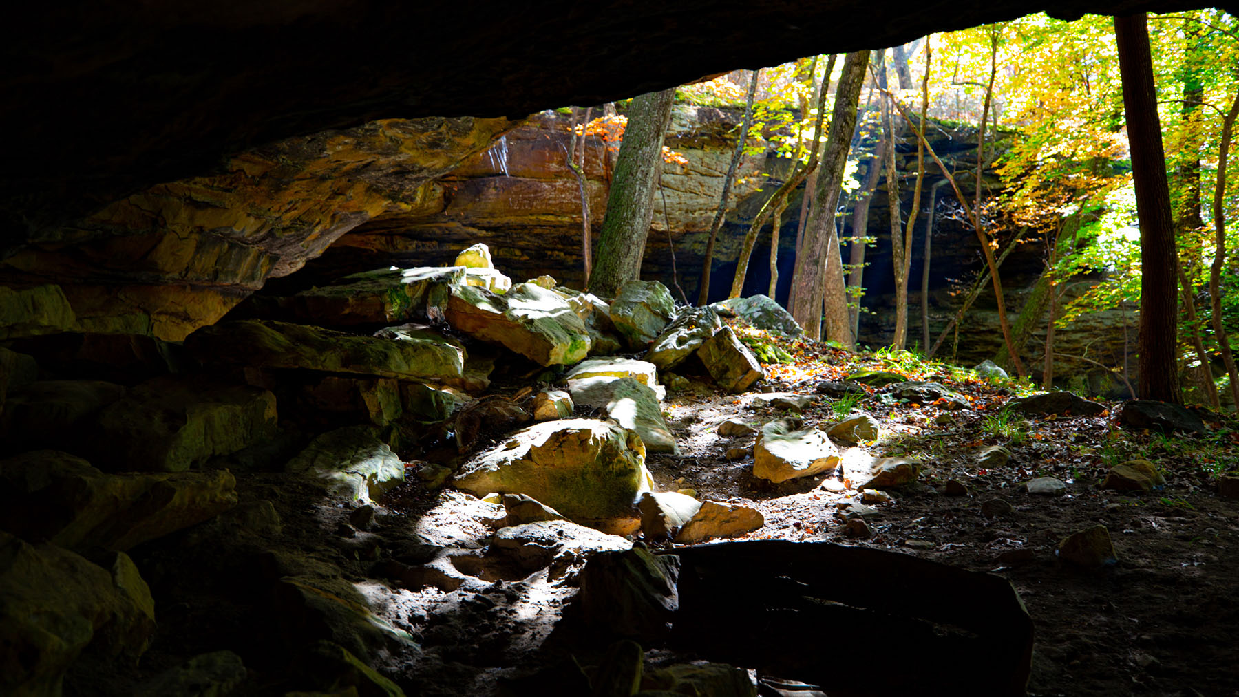 Keith Springs Mountain property picture 46 of 59