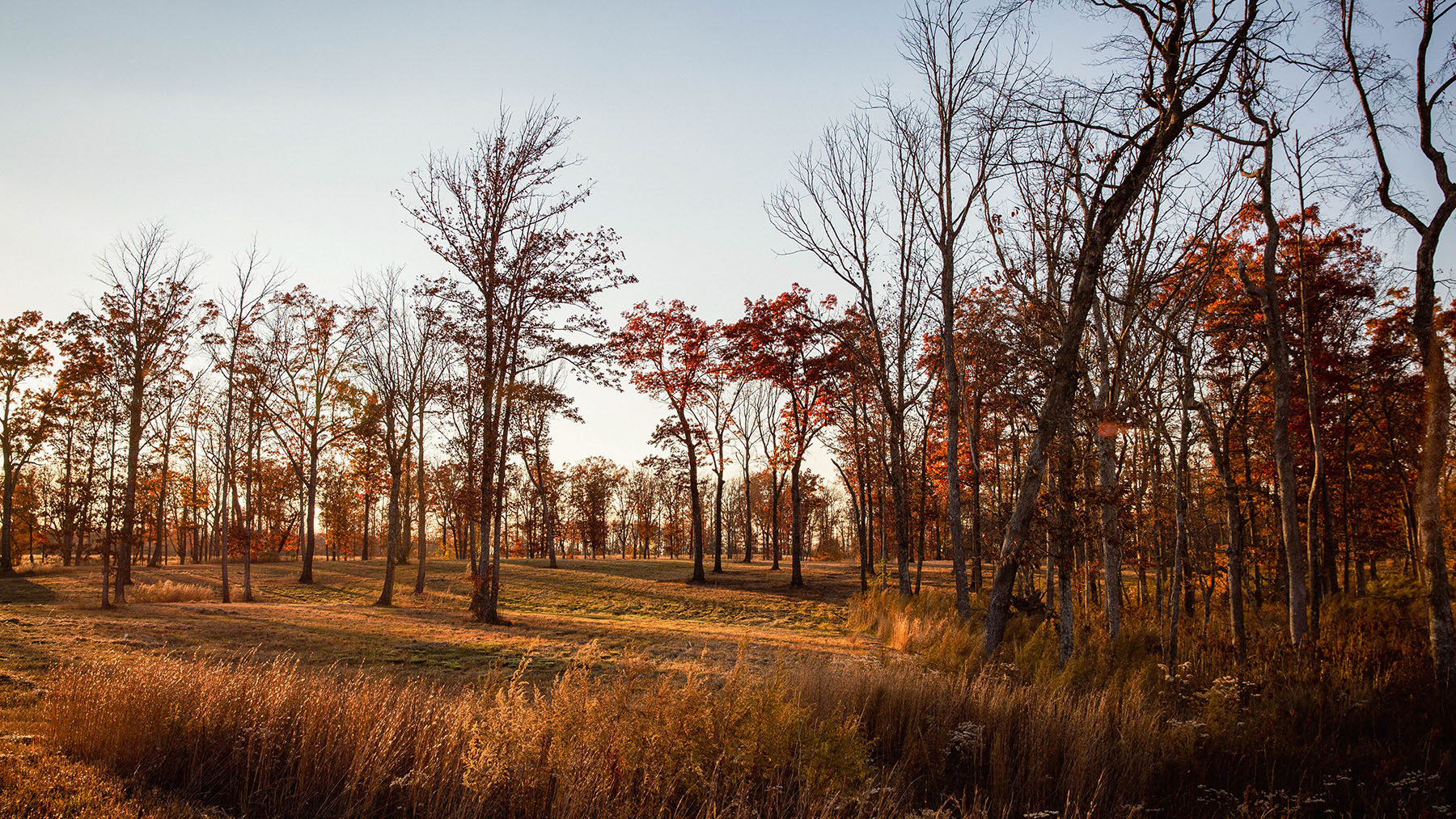 Keith Springs Mountain property picture 53 of 59