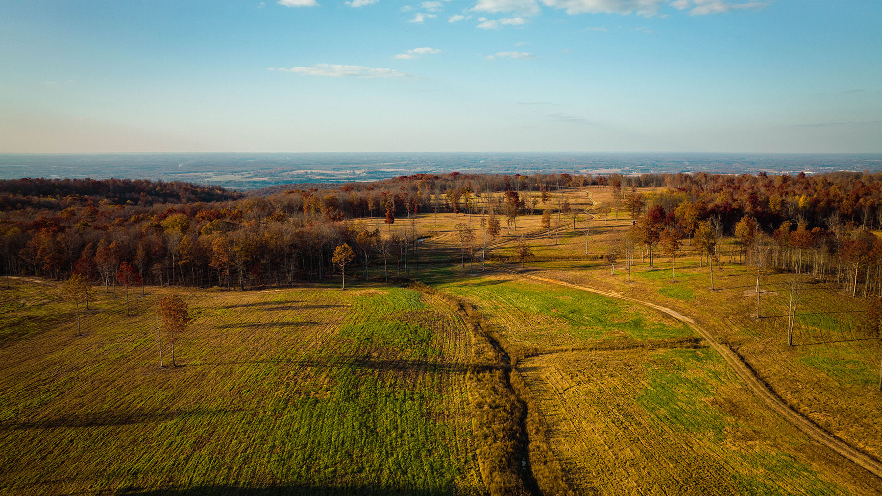 Keith Springs Mountain property picture 16 of 59
