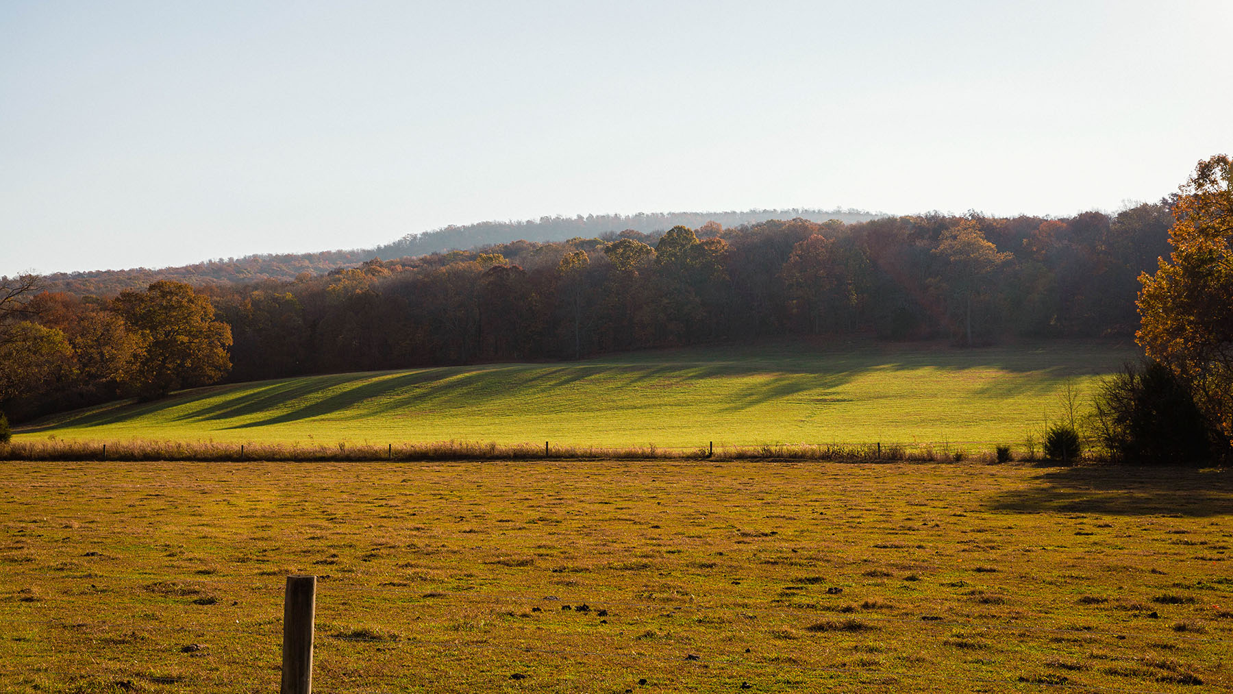 Keith Springs Mountain property picture 57 of 59