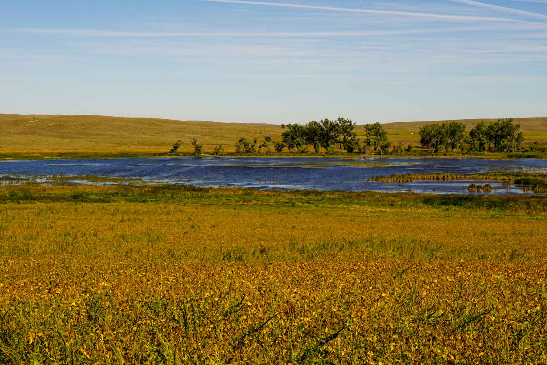 Nebraska Irrigated Farm property picture 17 of 47