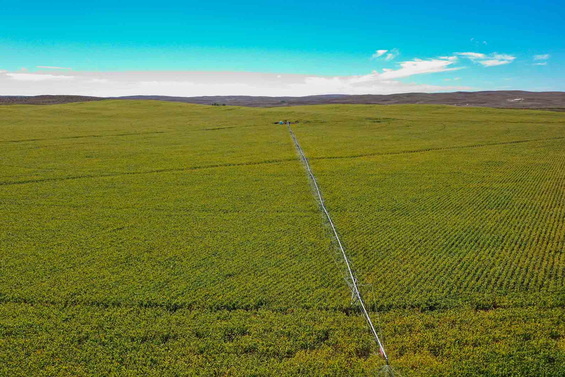 Nebraska Irrigated Farm property picture 45 of 47