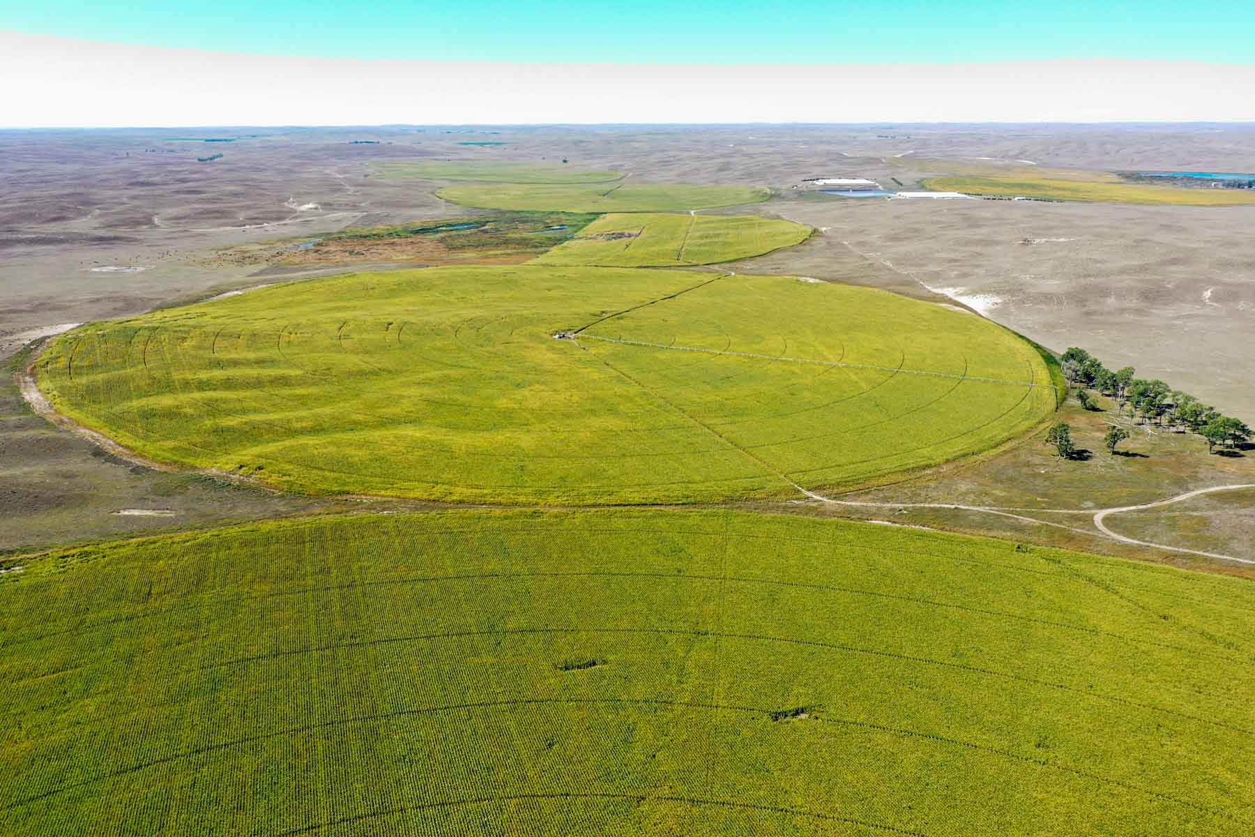 Nebraska Irrigated Farm property picture 8 of 47