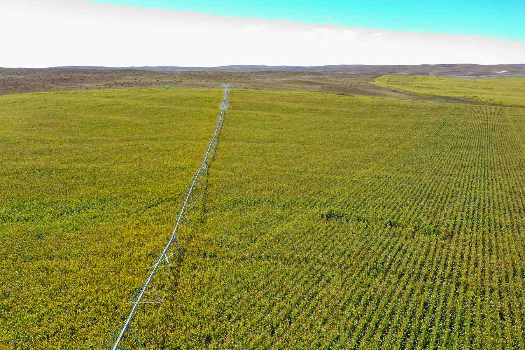 Nebraska Irrigated Farm property picture 28 of 47