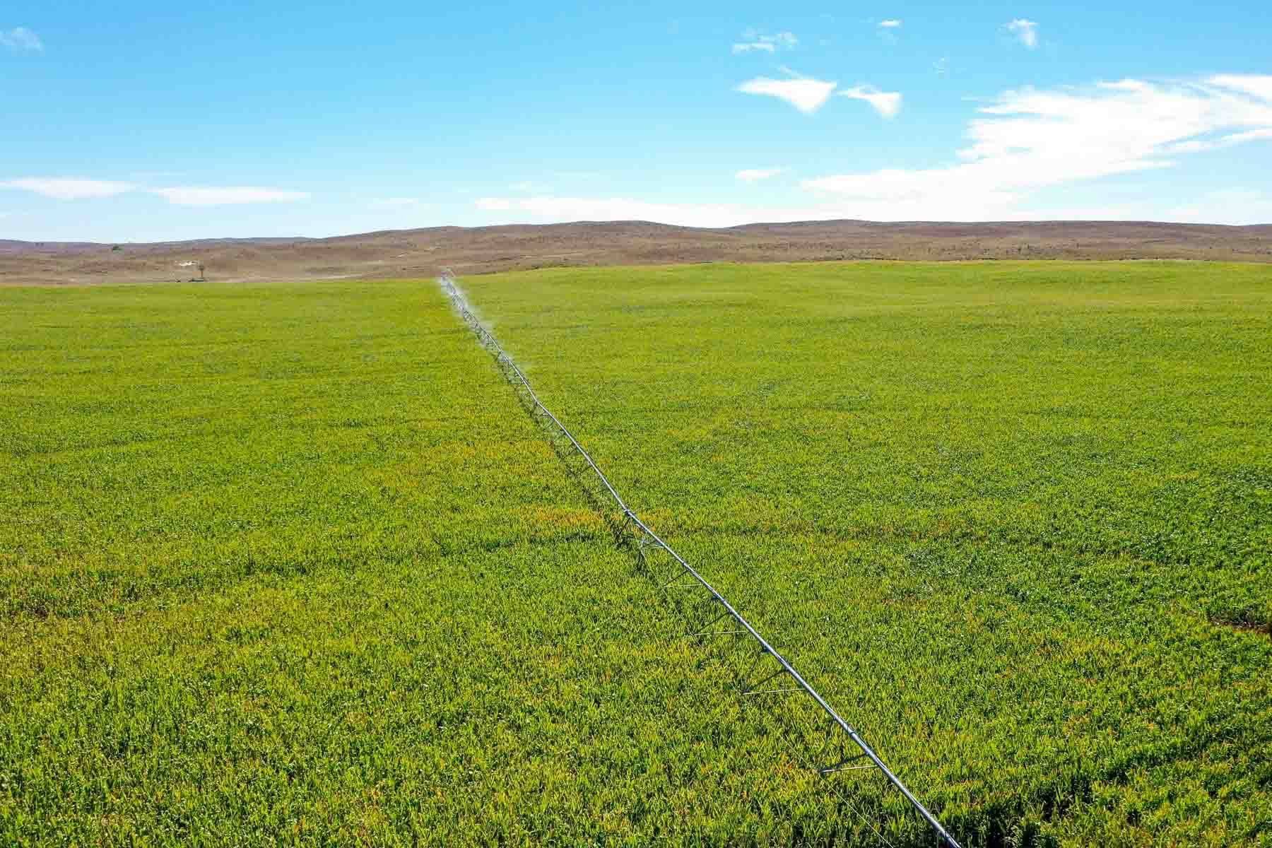 Nebraska Irrigated Farm property picture 2 of 47