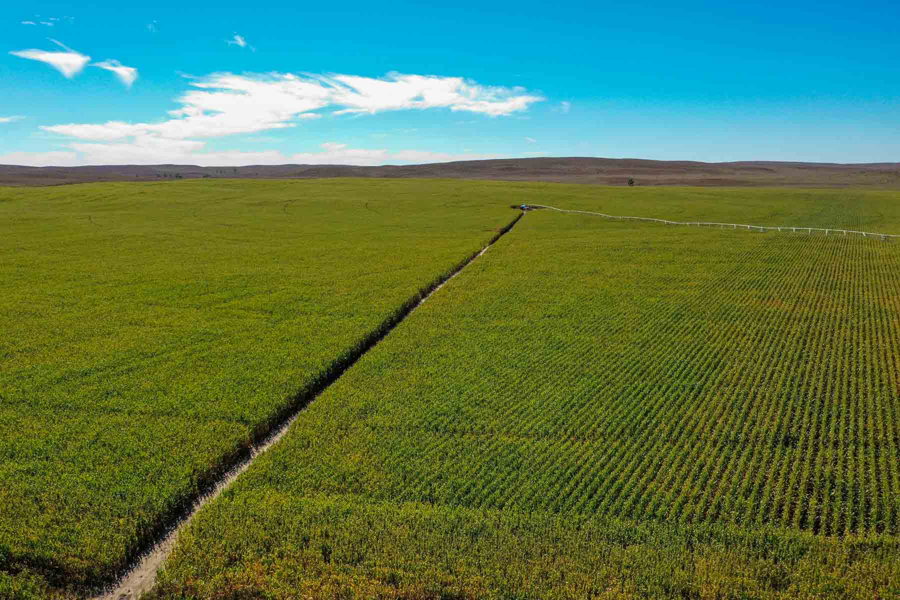 Nebraska Irrigated Farm For Sale Nebraska Hall and Hall
