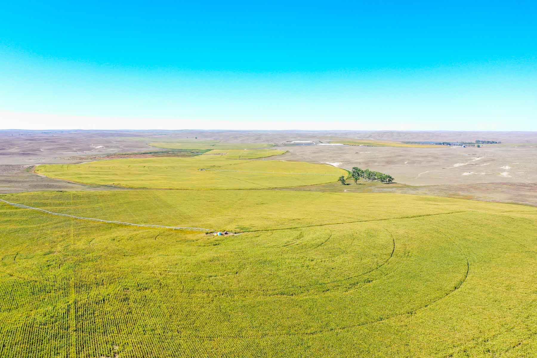 Nebraska Irrigated Farm property picture 39 of 47