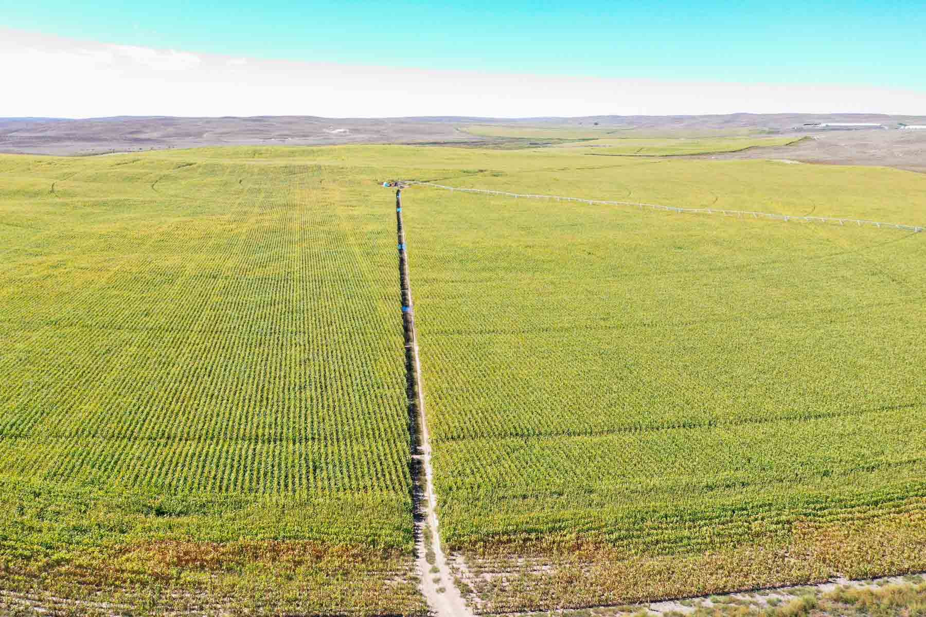 Nebraska Irrigated Farm property picture 44 of 47