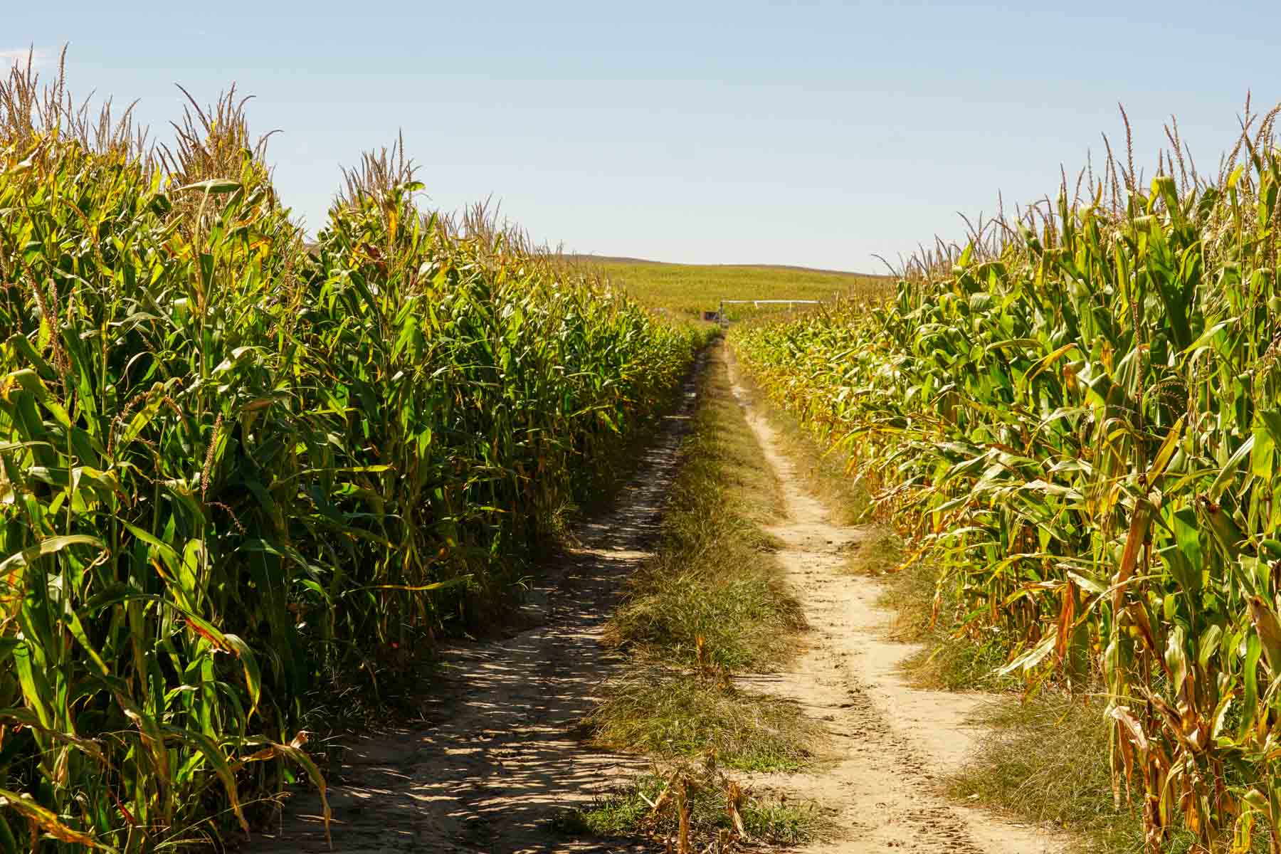 Nebraska Irrigated Farm property picture 31 of 47