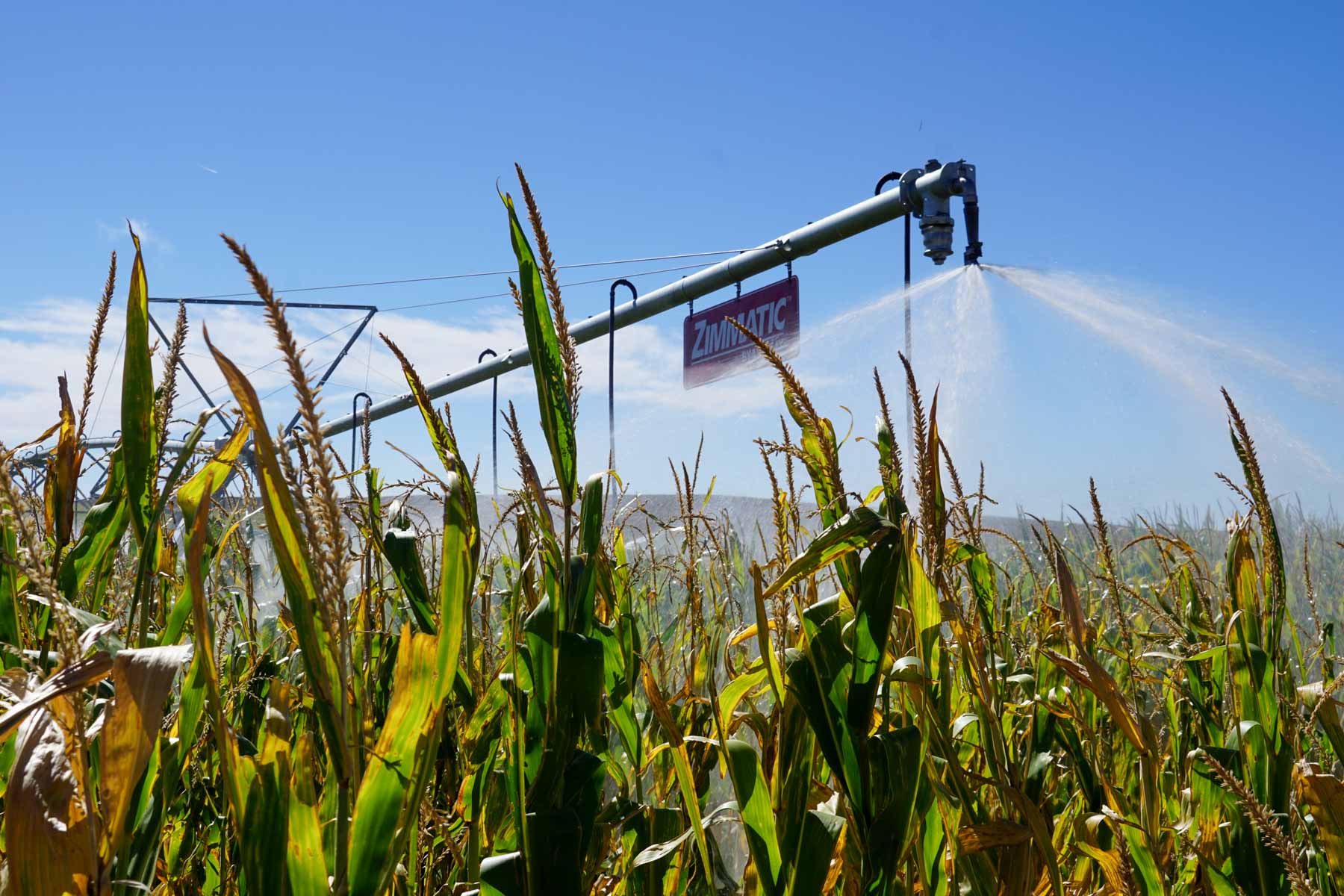 Nebraska Irrigated Farm property picture 15 of 47
