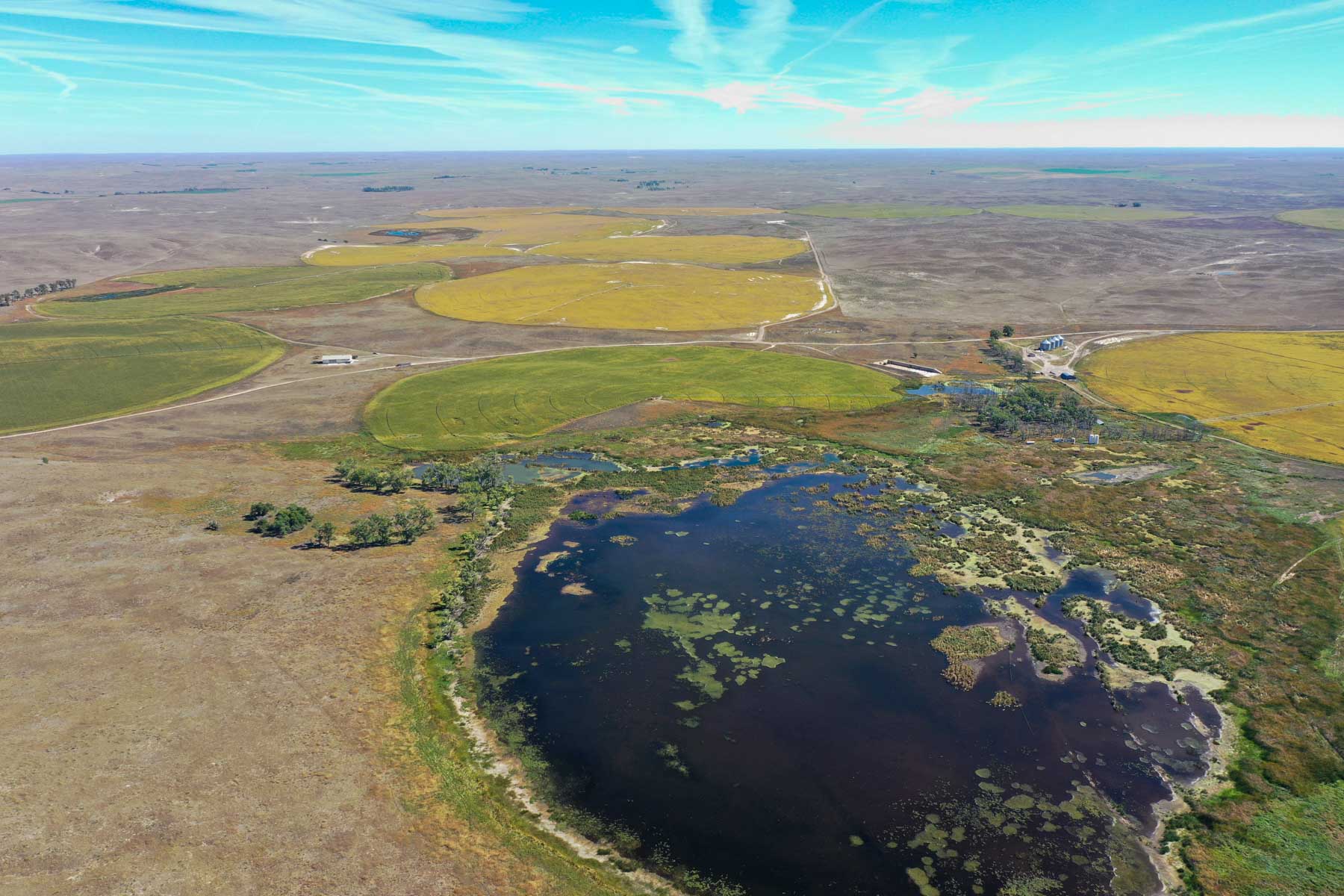 Nebraska Irrigated Farm For Sale Nebraska Hall and Hall