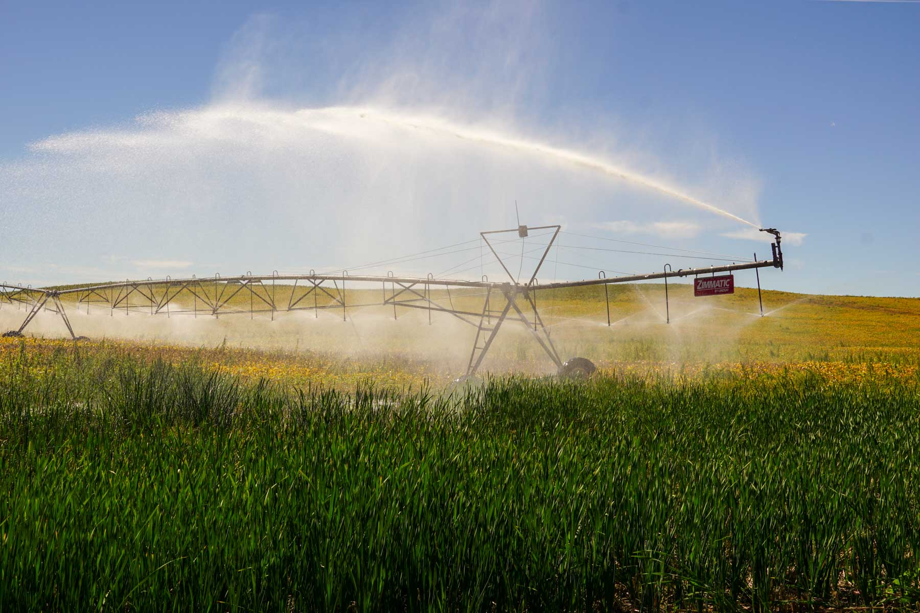 Nebraska Irrigated Farm For Sale Nebraska Hall and Hall