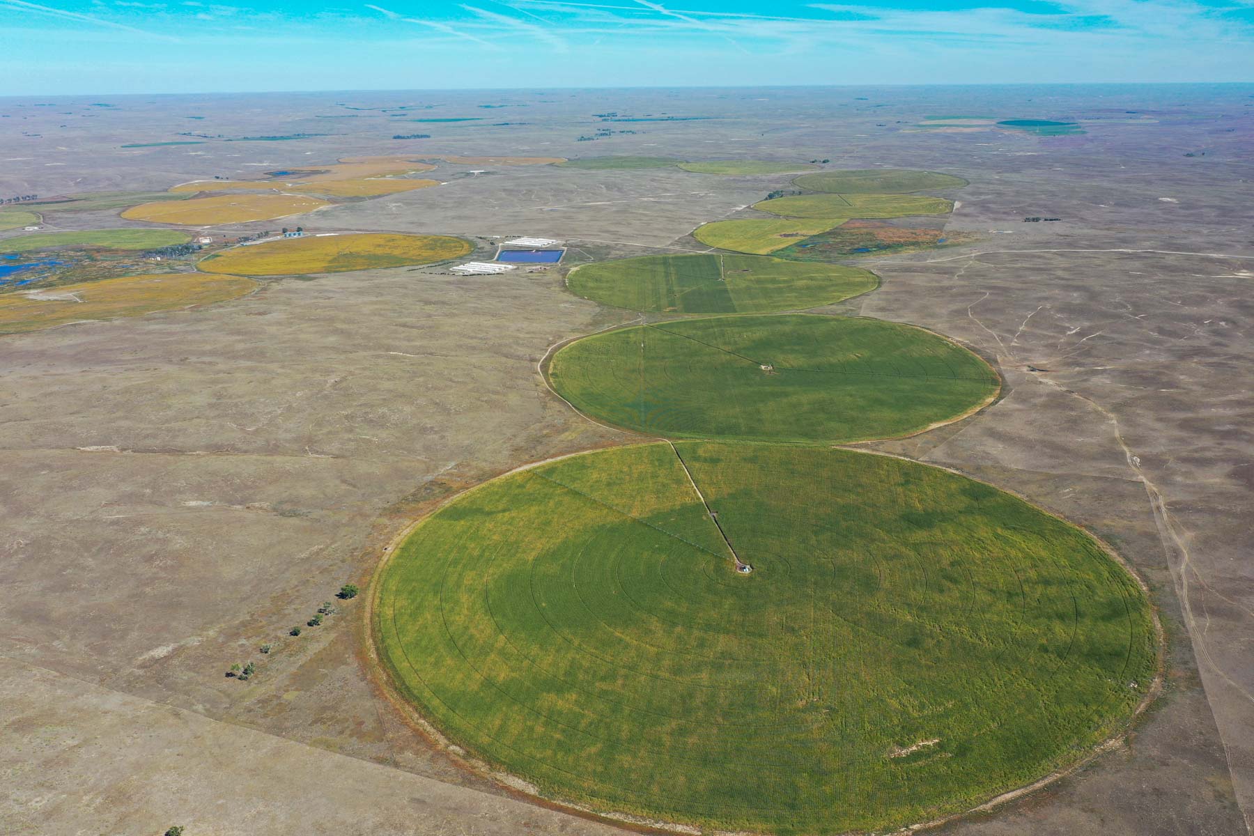 Nebraska Irrigated Farm For Sale Nebraska Hall and Hall