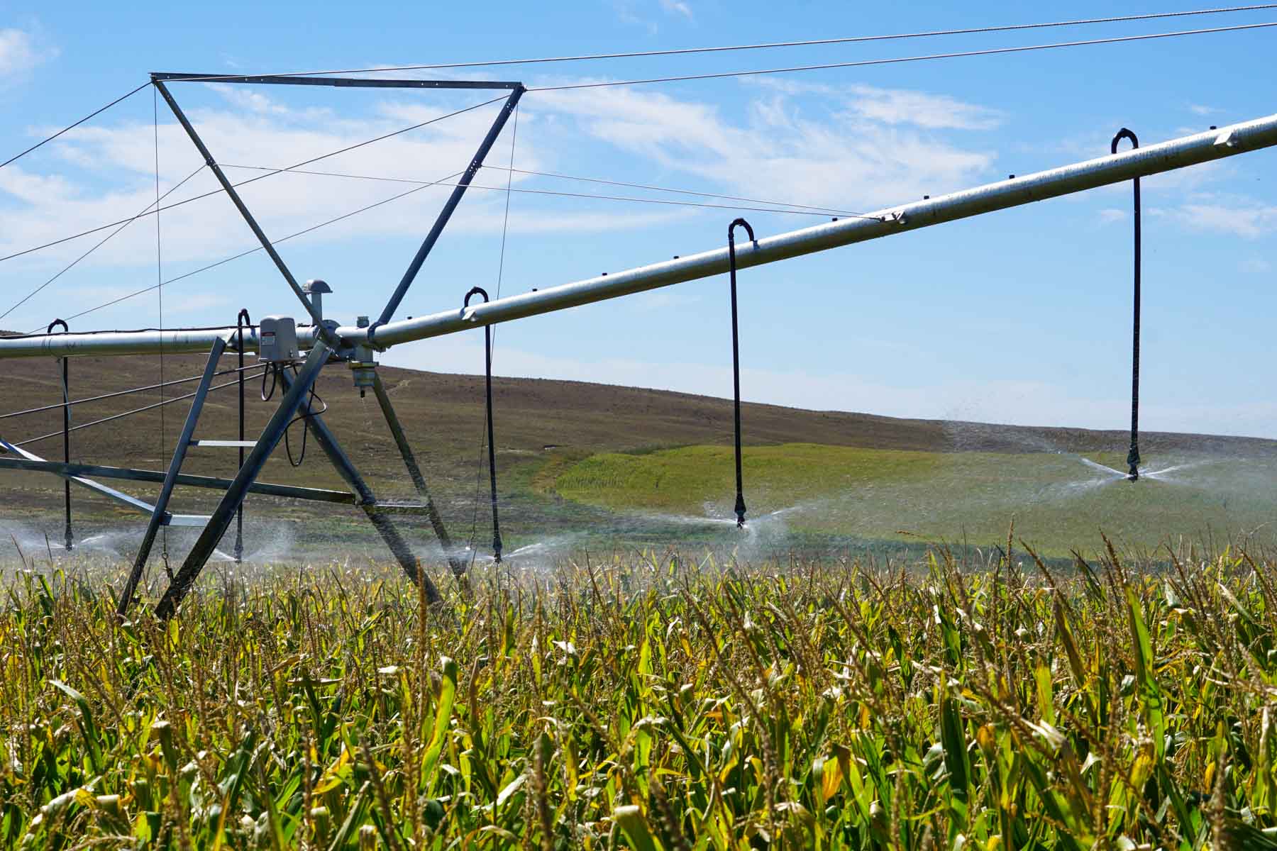 Nebraska Irrigated Farm For Sale Nebraska Hall and Hall