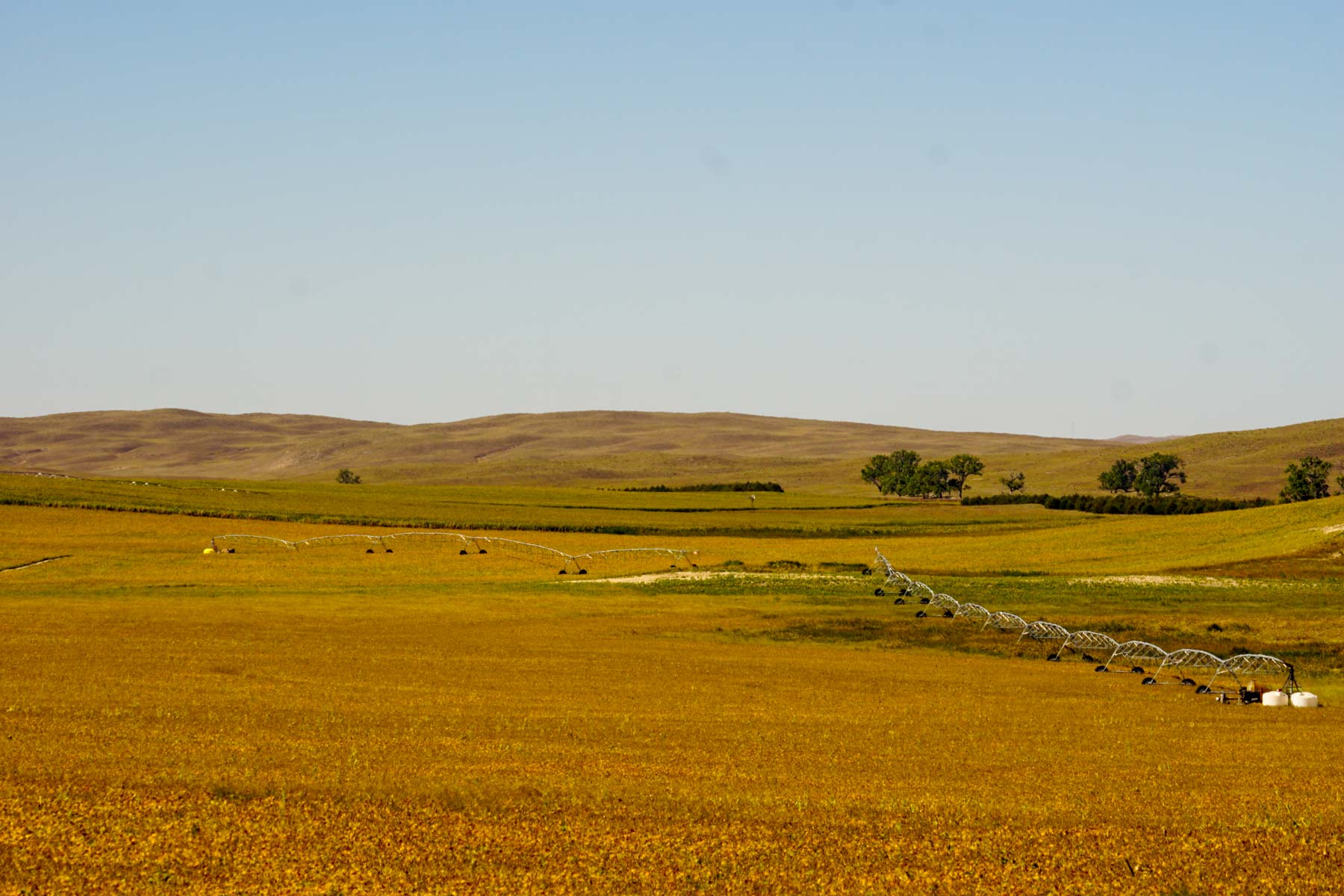 Nebraska Irrigated Farm For Sale Nebraska Hall and Hall
