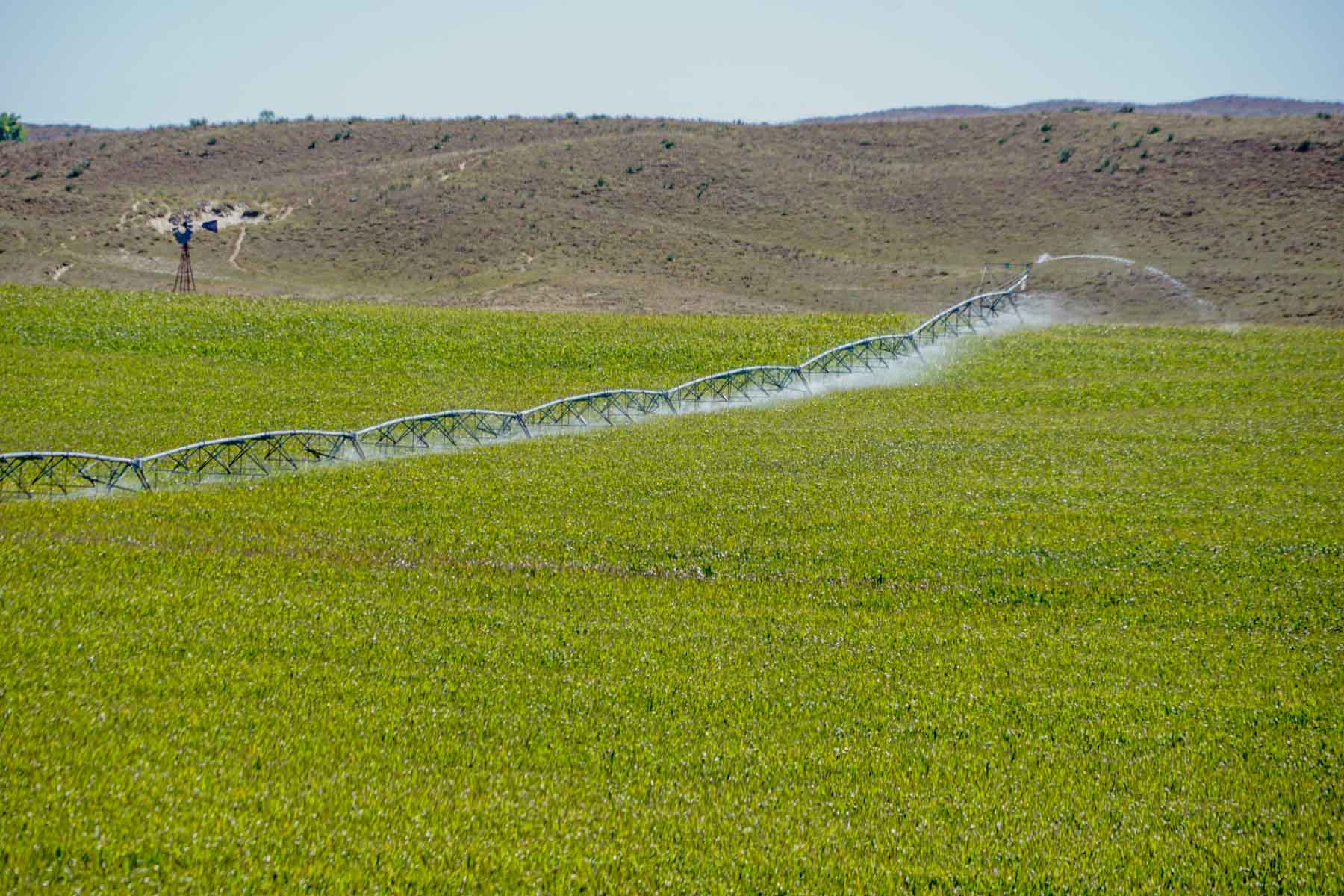 Nebraska Irrigated Farm property picture 43 of 47
