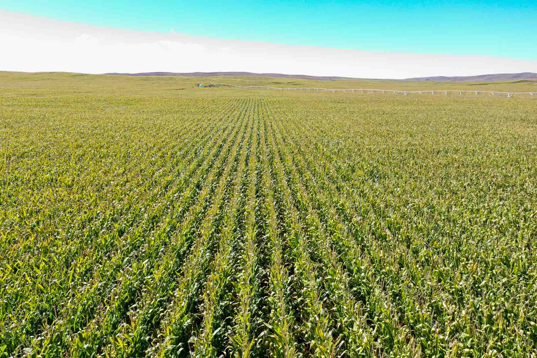 Nebraska Irrigated Farm property picture 3 of 47