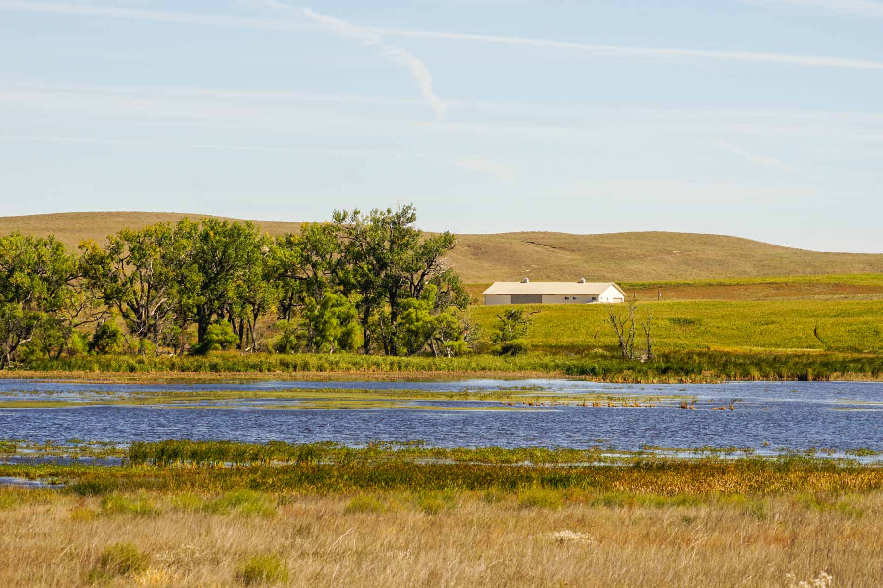 Nebraska Irrigated Farm property picture 5 of 47