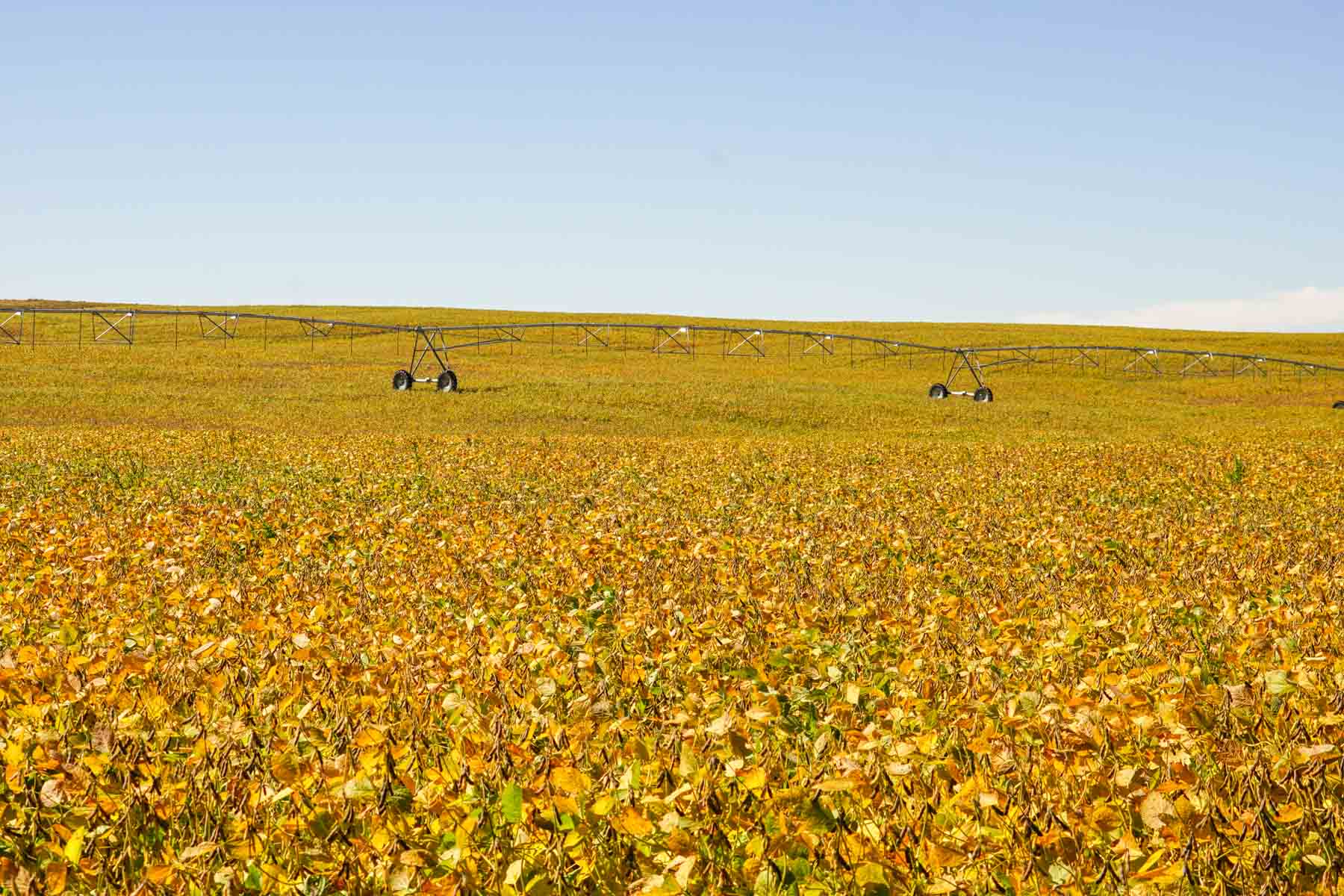 Nebraska Irrigated Farm For Sale Nebraska Hall and Hall