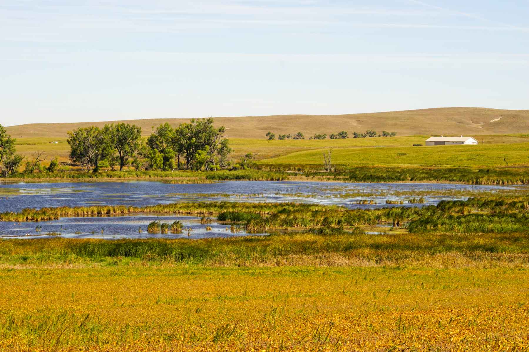 Nebraska Irrigated Farm For Sale Nebraska Hall and Hall