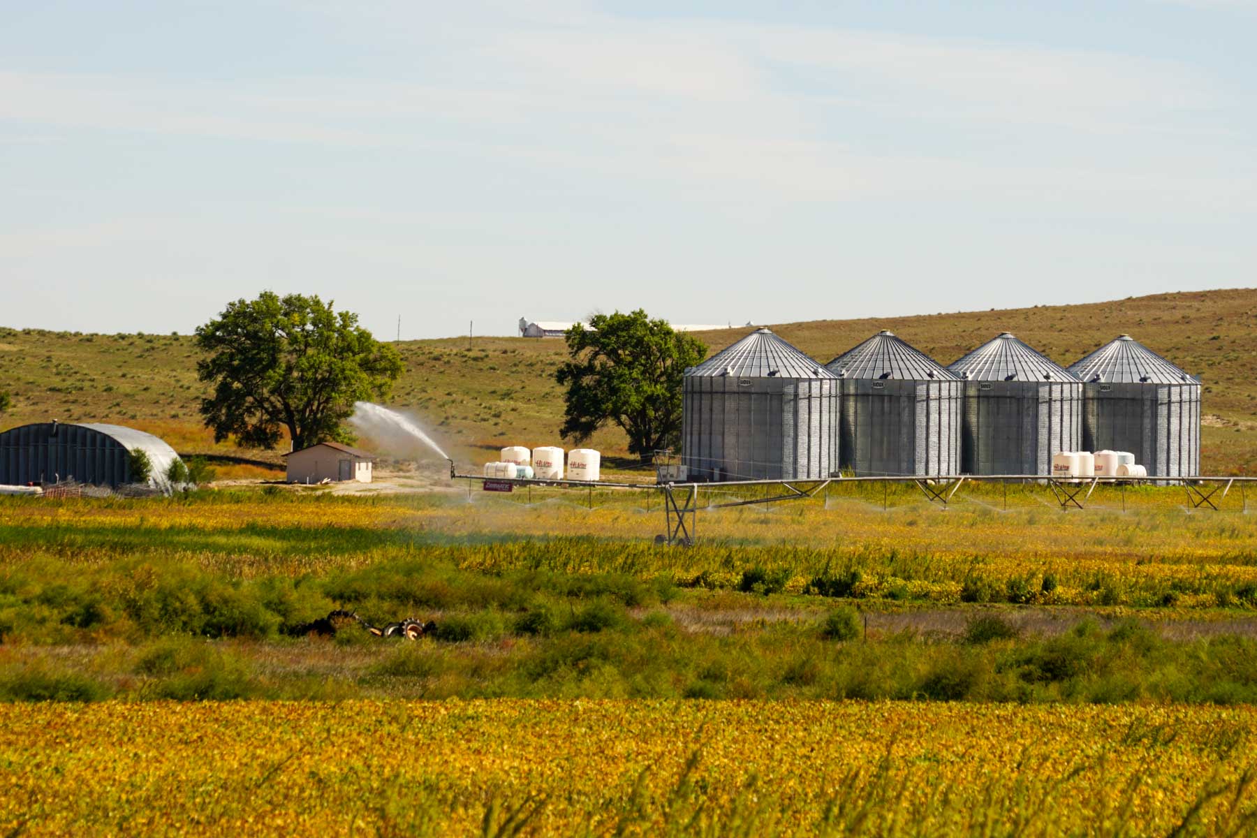 Nebraska Irrigated Farm For Sale Nebraska Hall and Hall
