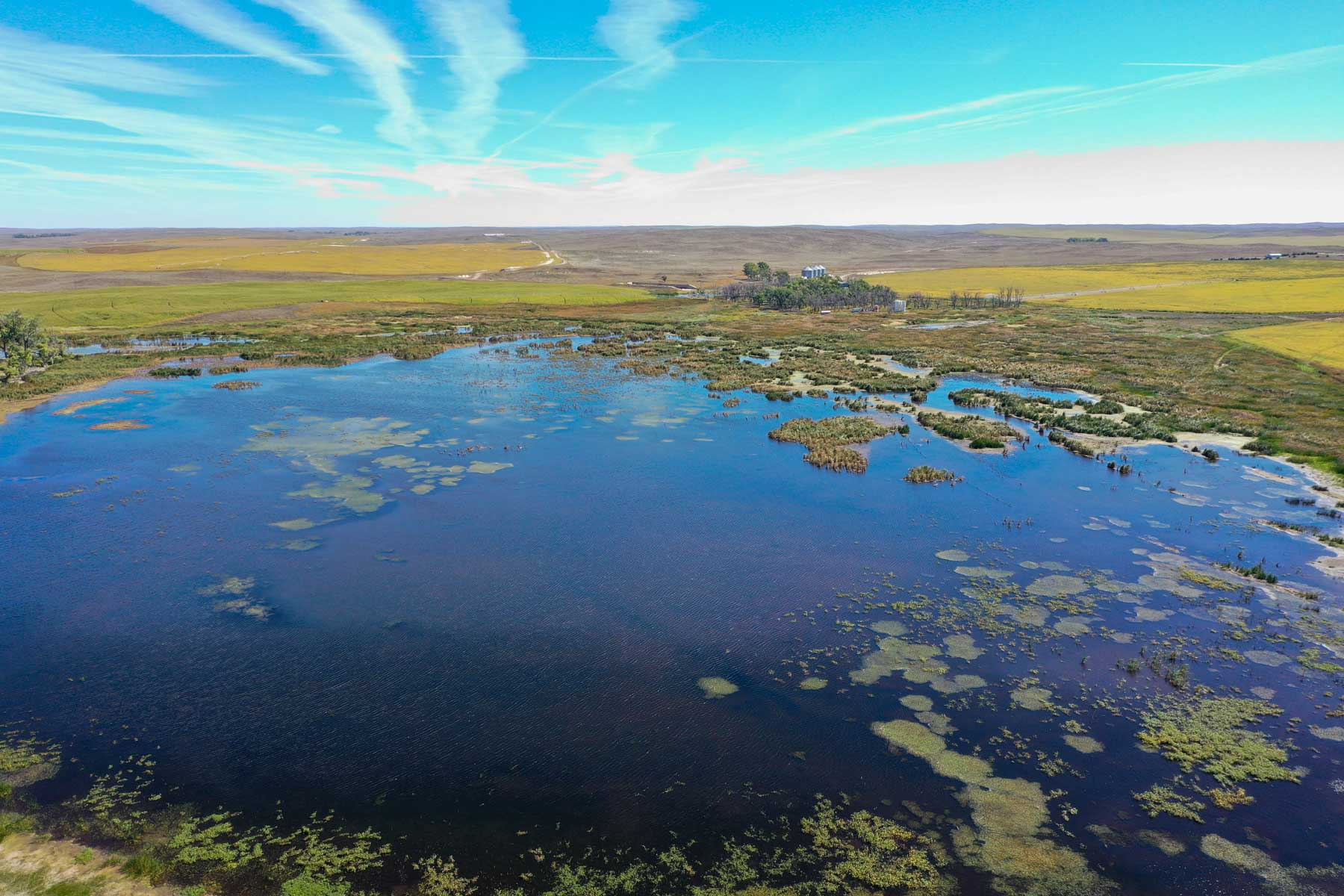 Nebraska Irrigated Farm For Sale Nebraska Hall and Hall