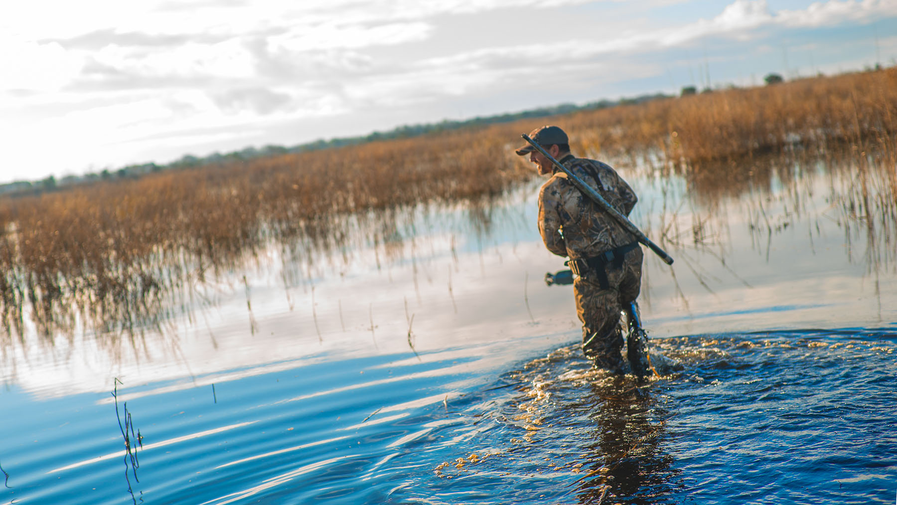 Annandale property picture 74 of 164