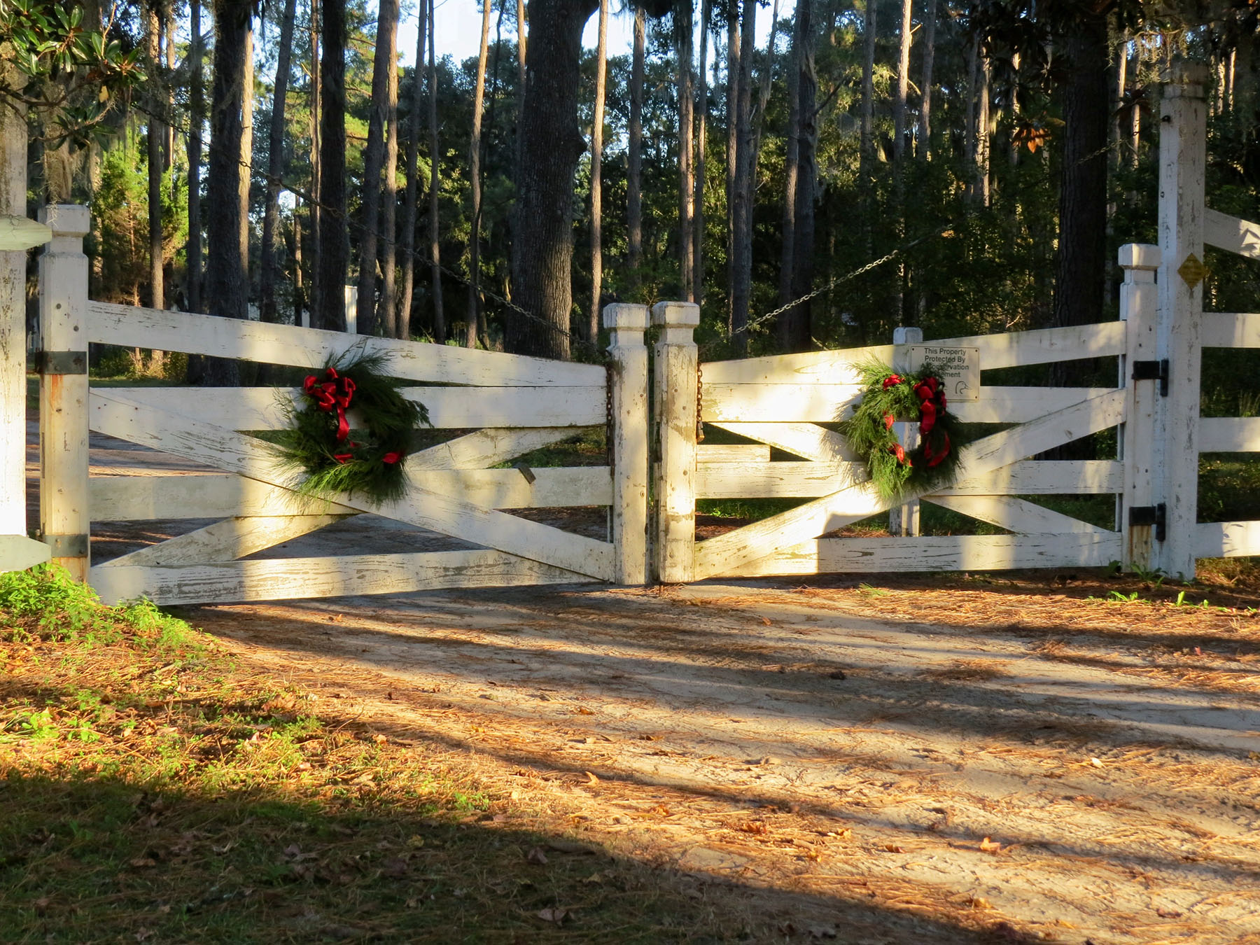 Annandale property picture 46 of 164