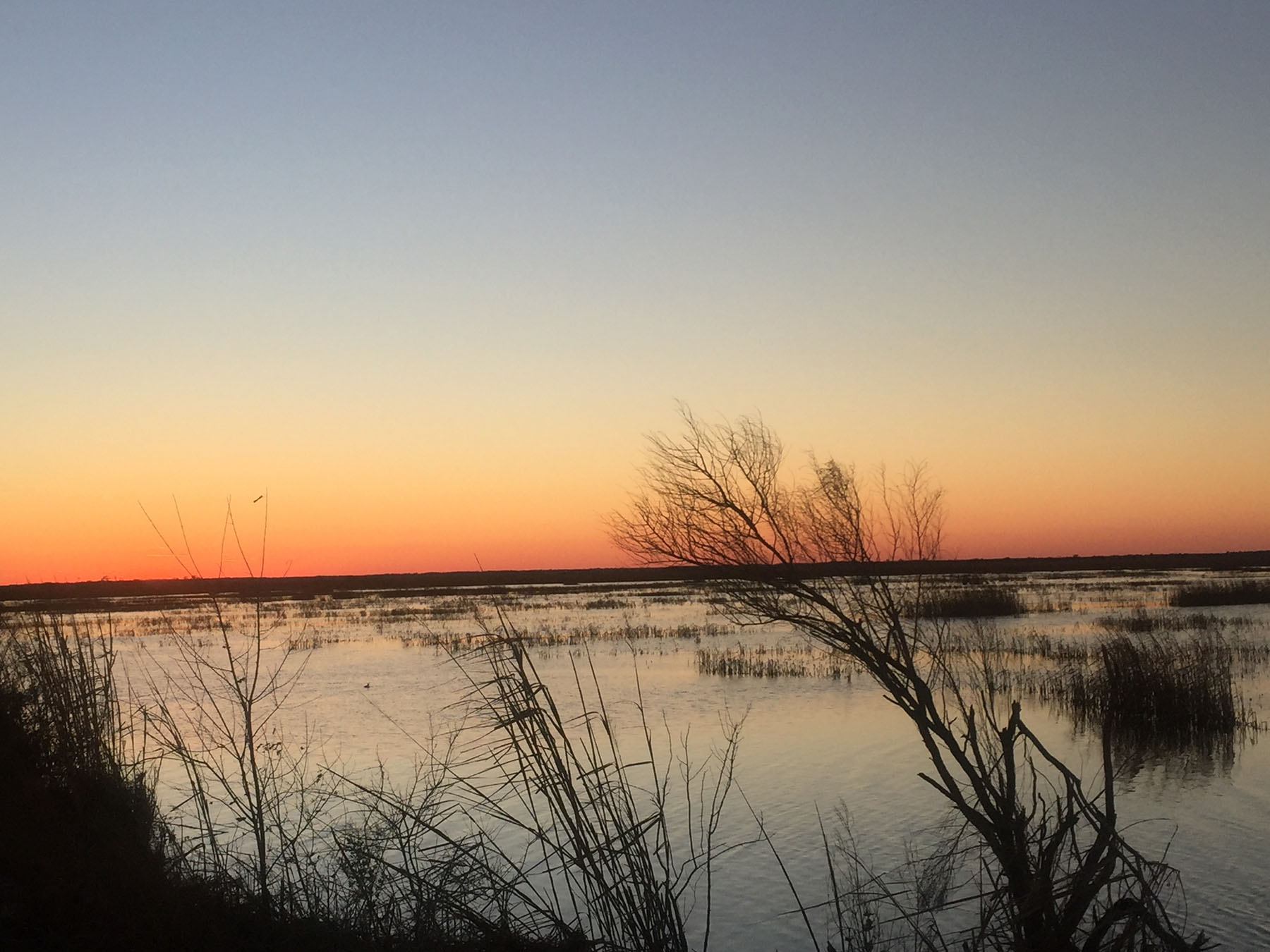 Annandale property picture 24 of 164