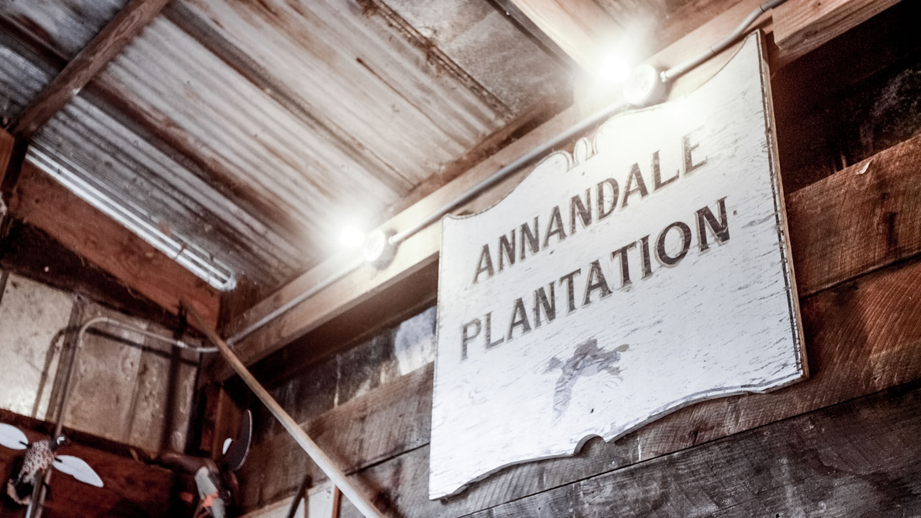 Annandale property picture 5 of 164