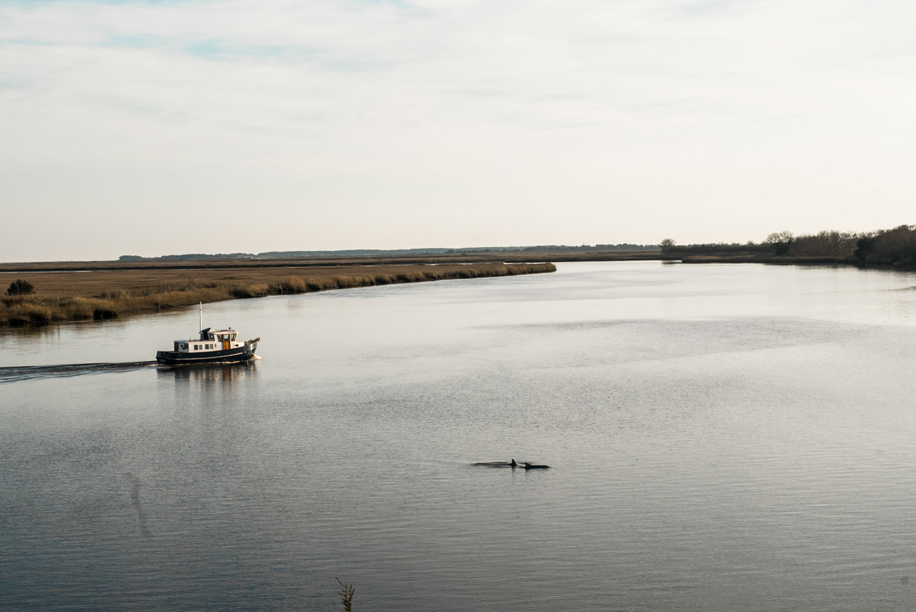 Annandale property picture 10 of 164