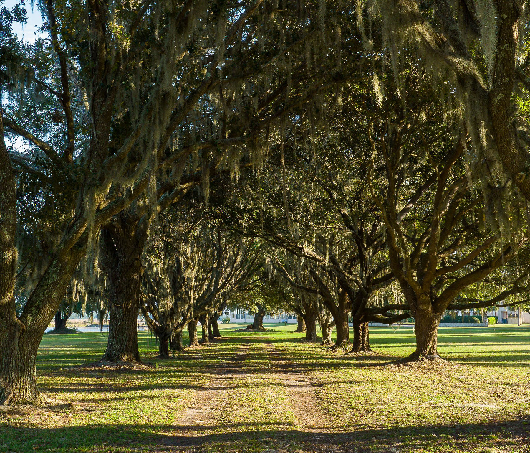 Annandale property picture 109 of 164