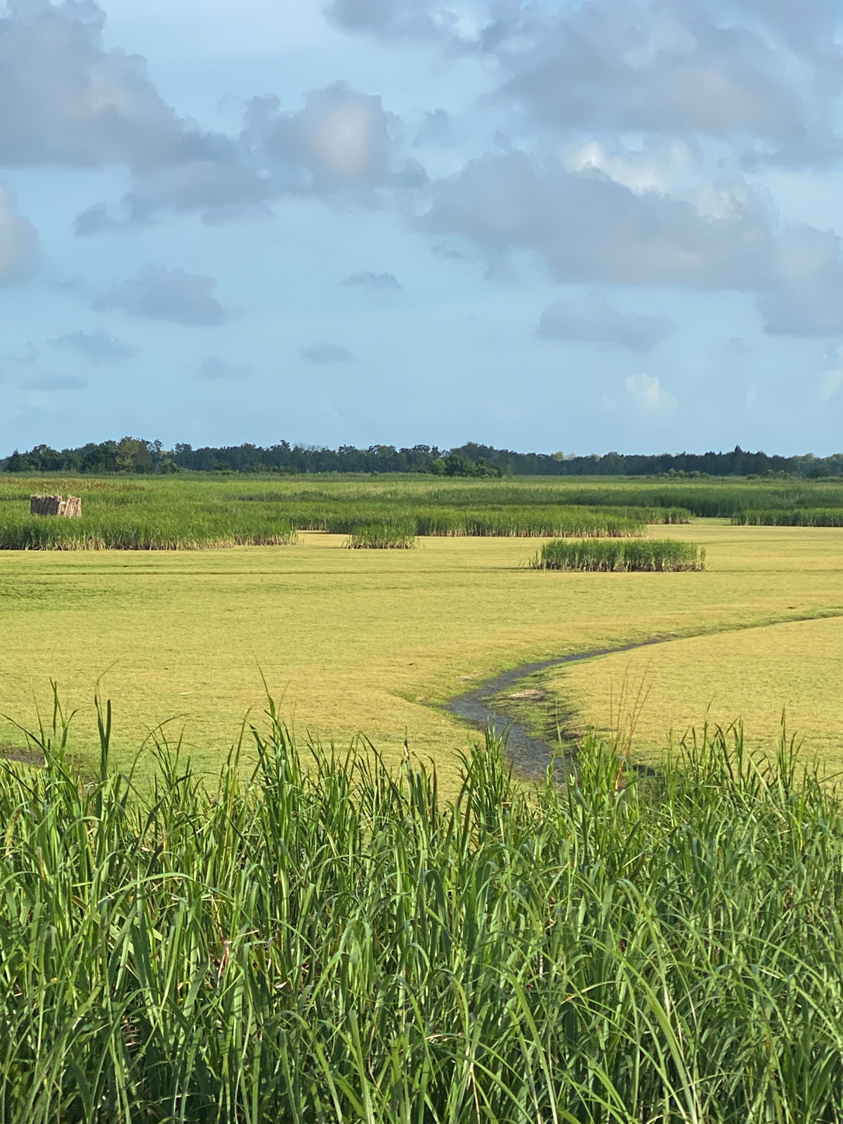 Annandale property picture 48 of 164