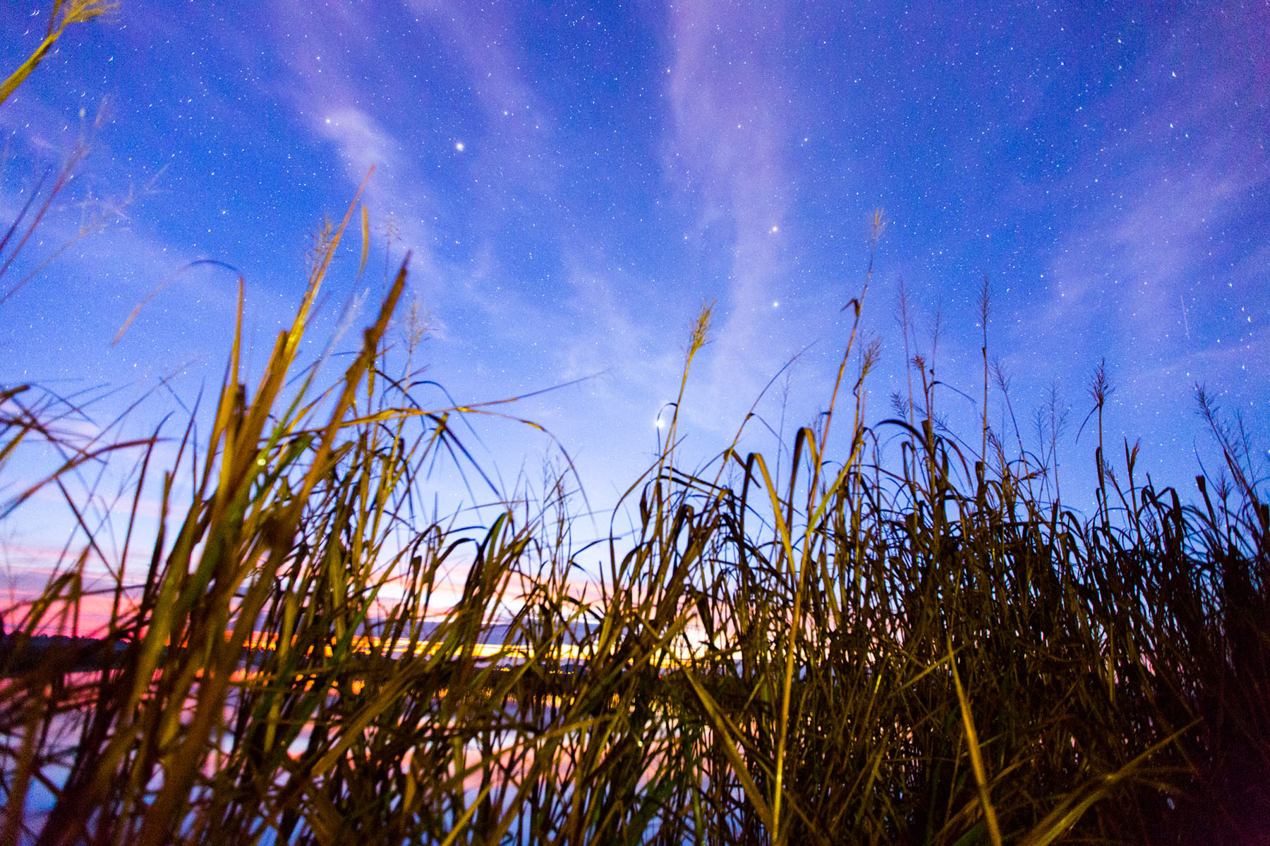 Annandale property picture 52 of 164