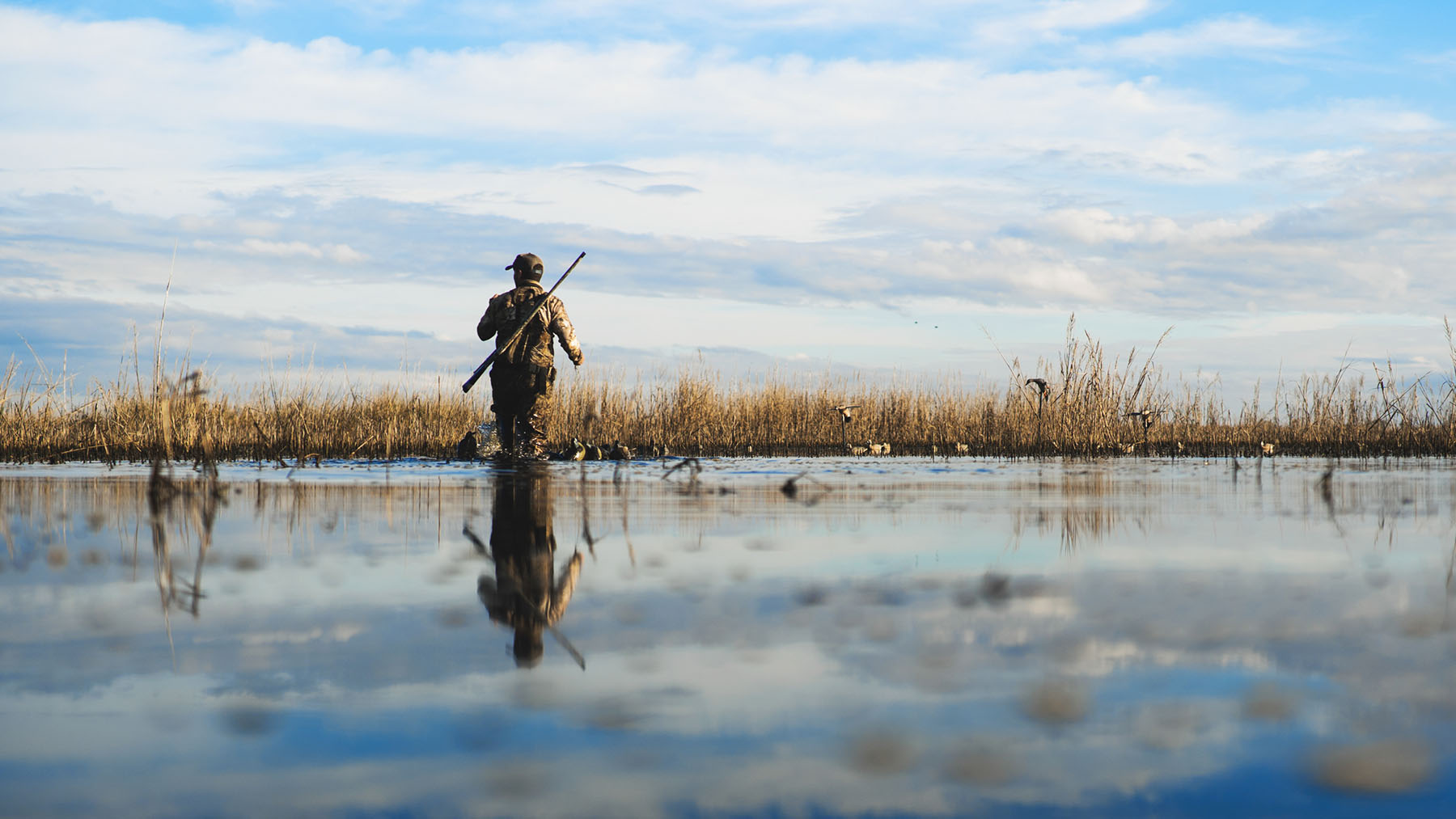 Annandale property picture 14 of 164