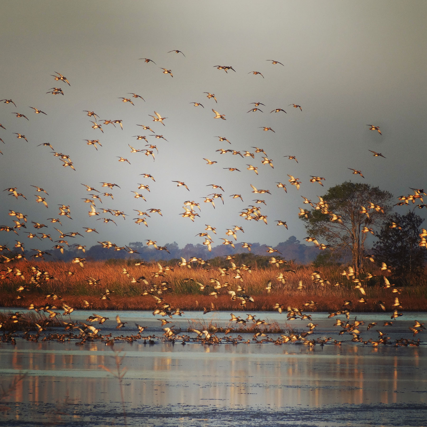 Annandale property picture 4 of 164