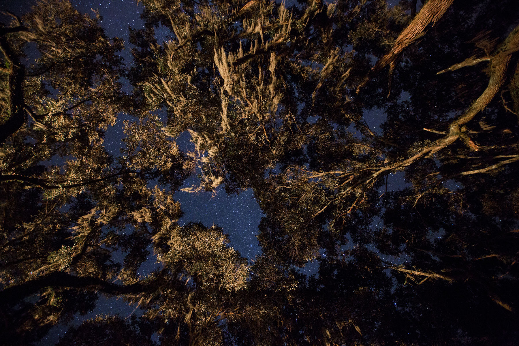 Annandale property picture 40 of 164