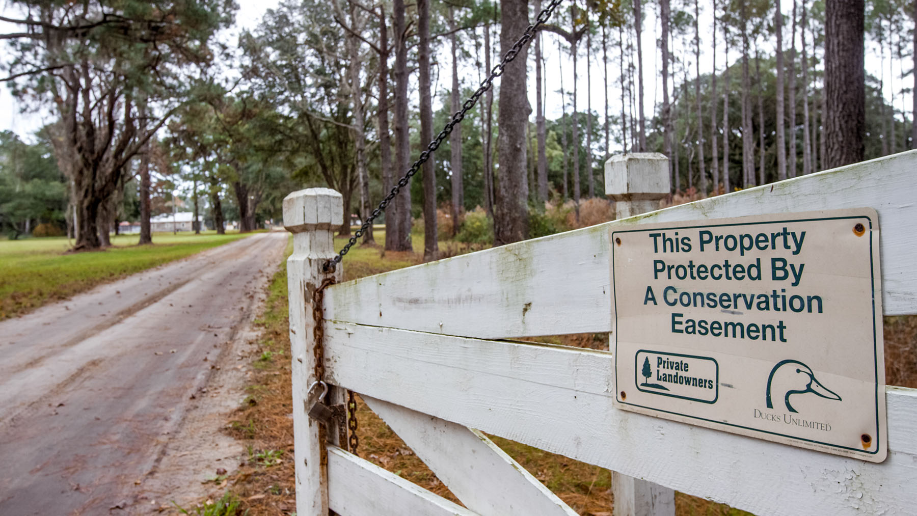 Annandale property picture 57 of 164