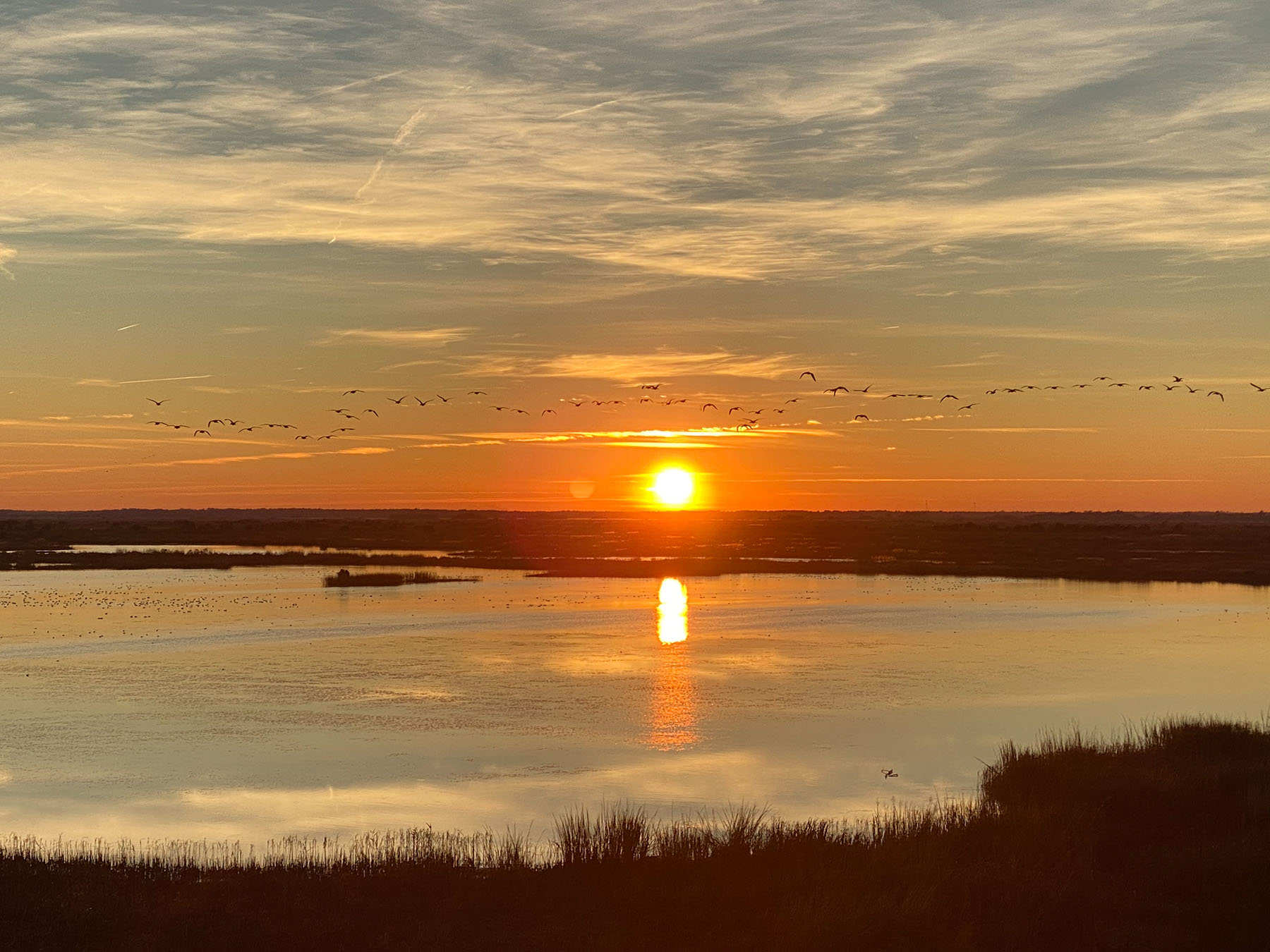 Annandale property picture 12 of 164