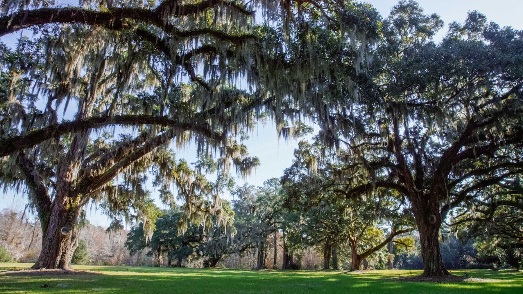 Annandale property picture 30 of 164