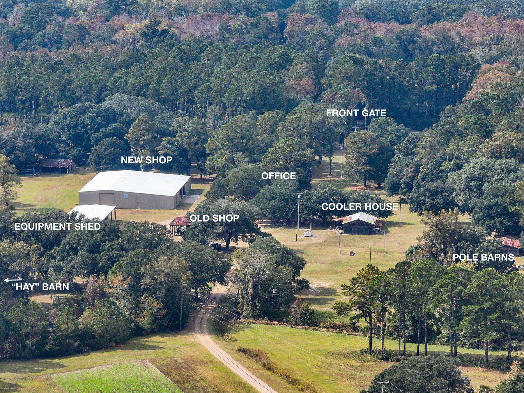 Annandale property picture 131 of 164