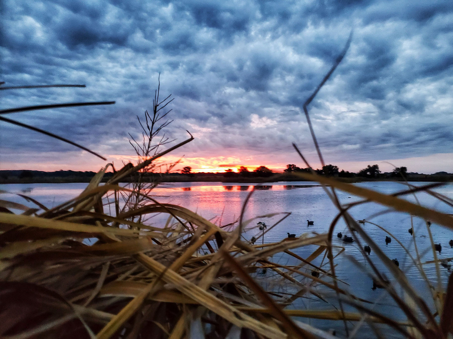 Annandale property picture 79 of 164