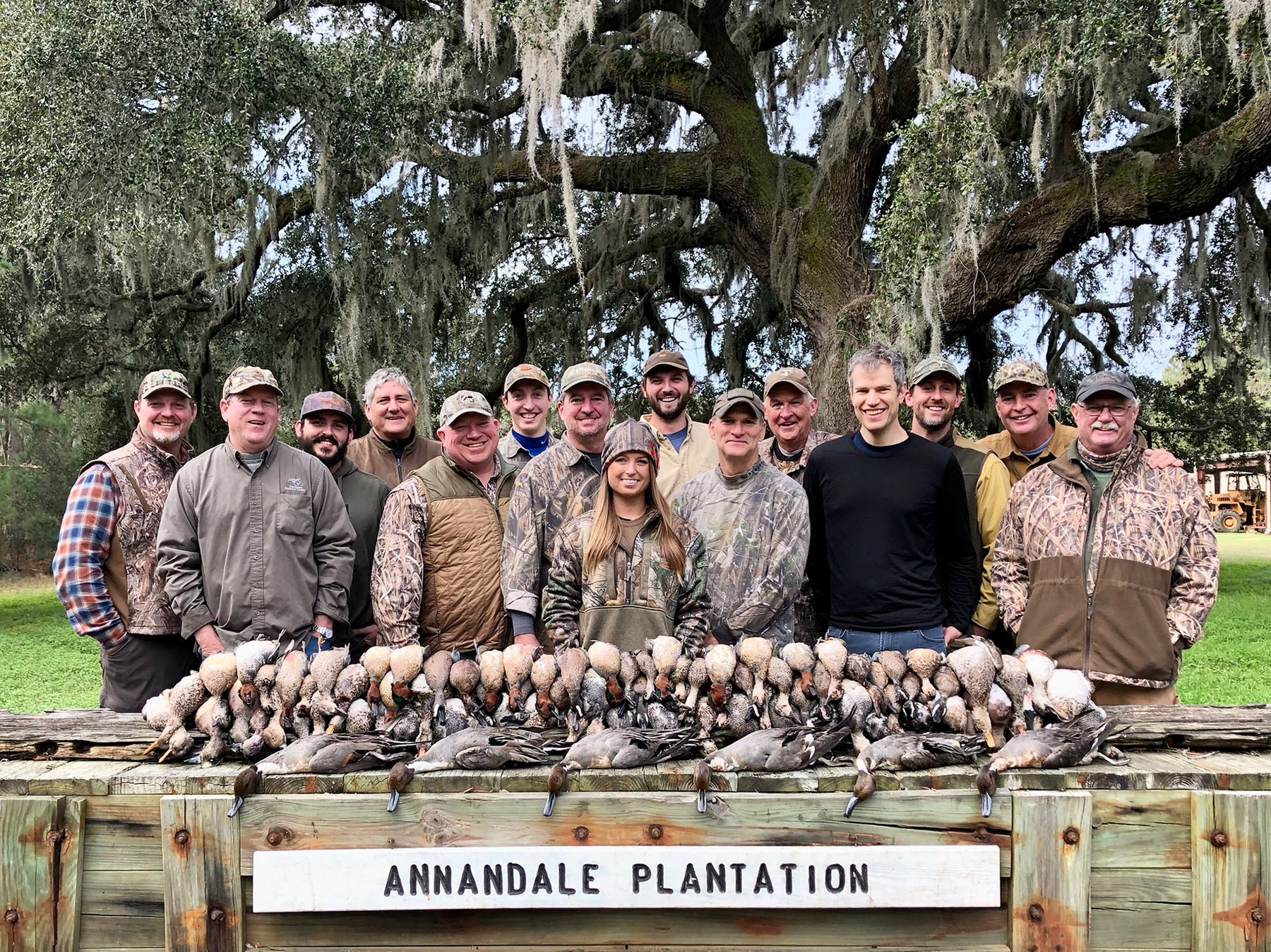 Annandale property picture 14 of 164