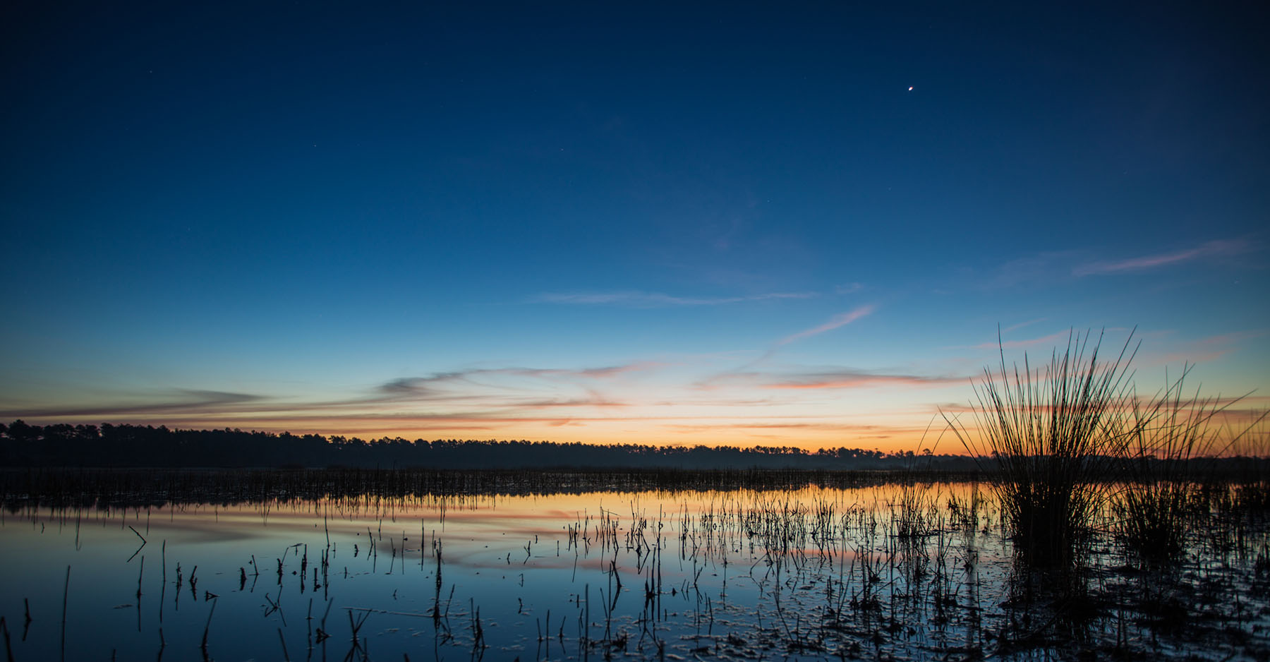 Annandale property picture 81 of 164