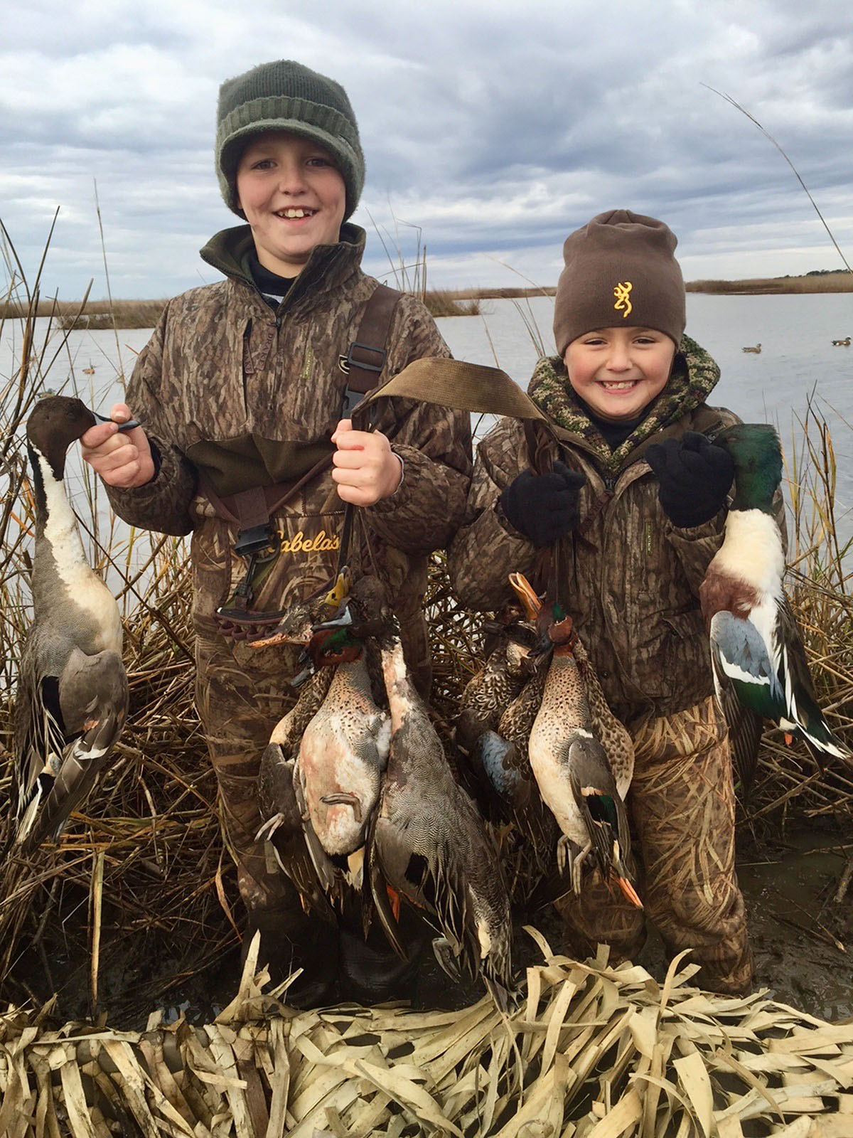 Annandale property picture 4 of 164