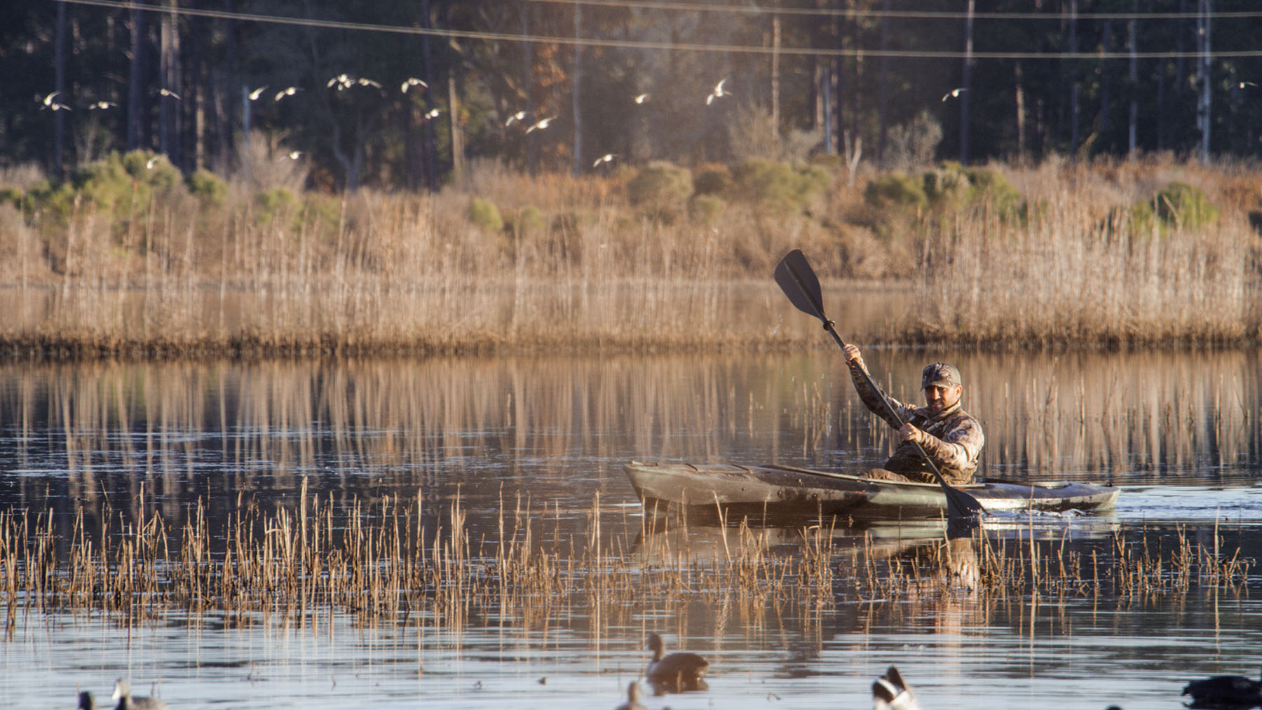 Annandale property picture 75 of 164