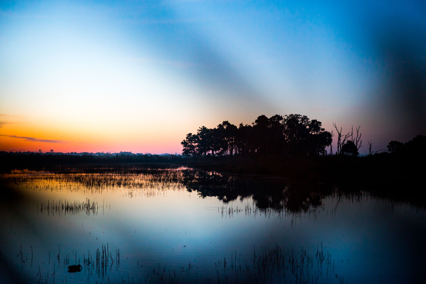 Annandale property picture 76 of 164